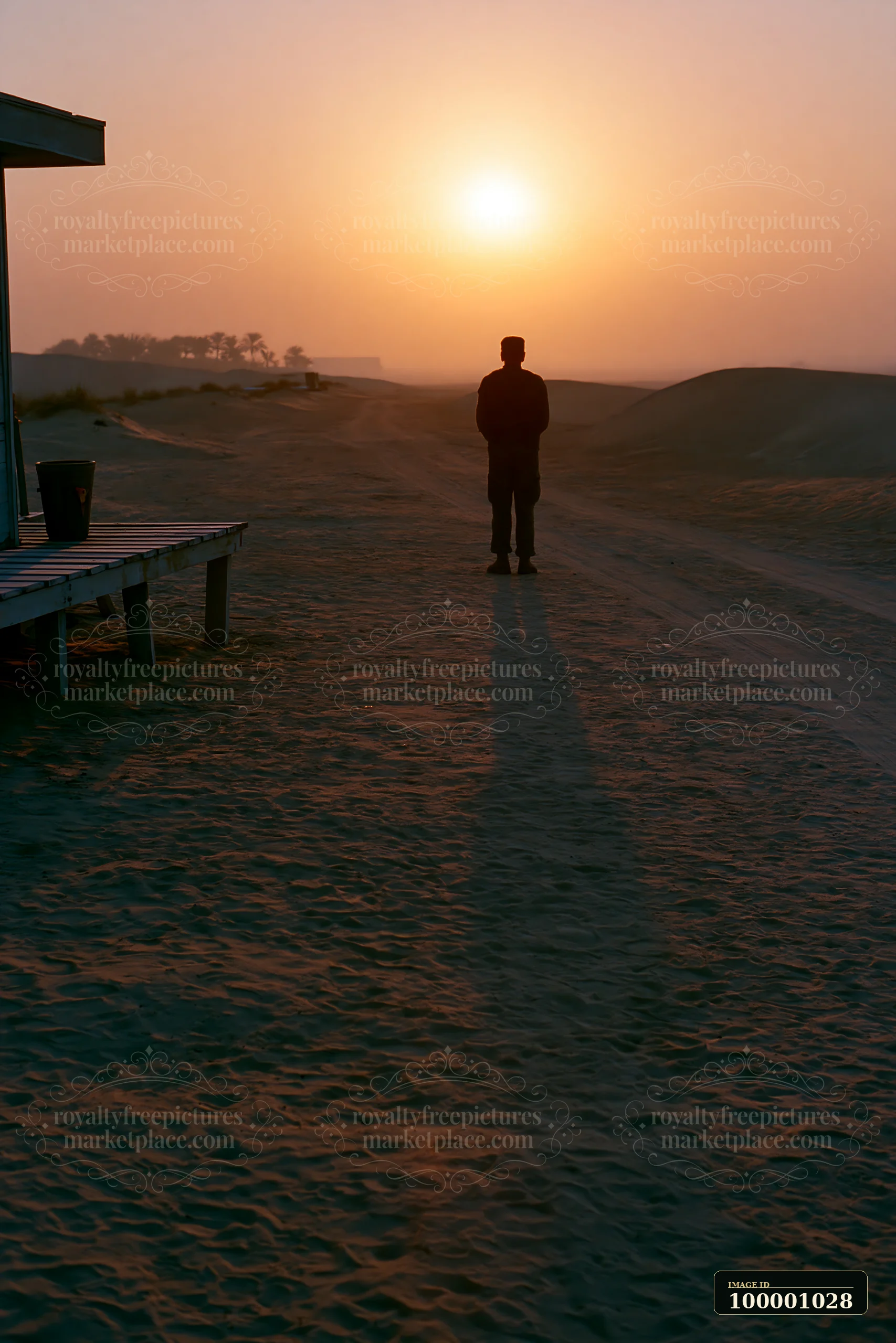 A soldier stands alone on sandy terrain, casting a long shadow as the sun sets behind distant hills.