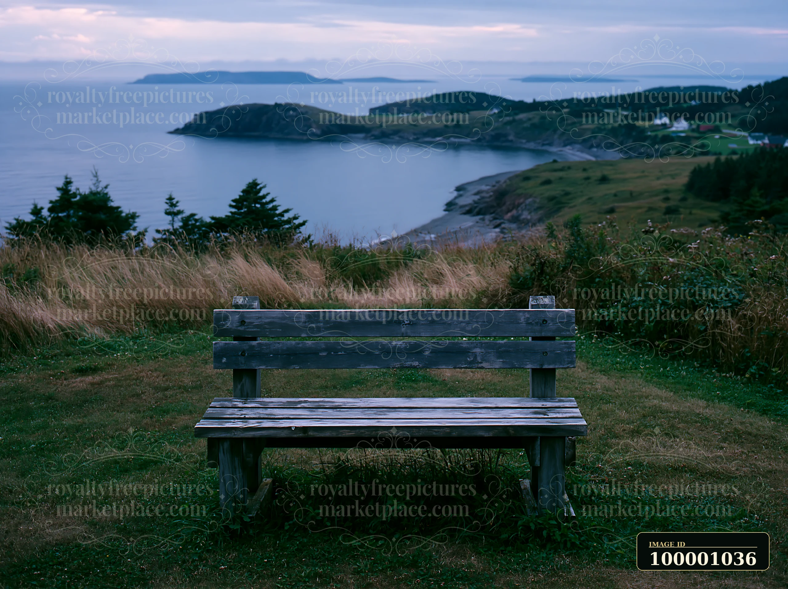 A wooden bench stands on a grassy area, offering a view of a coastline with sheltered bay.