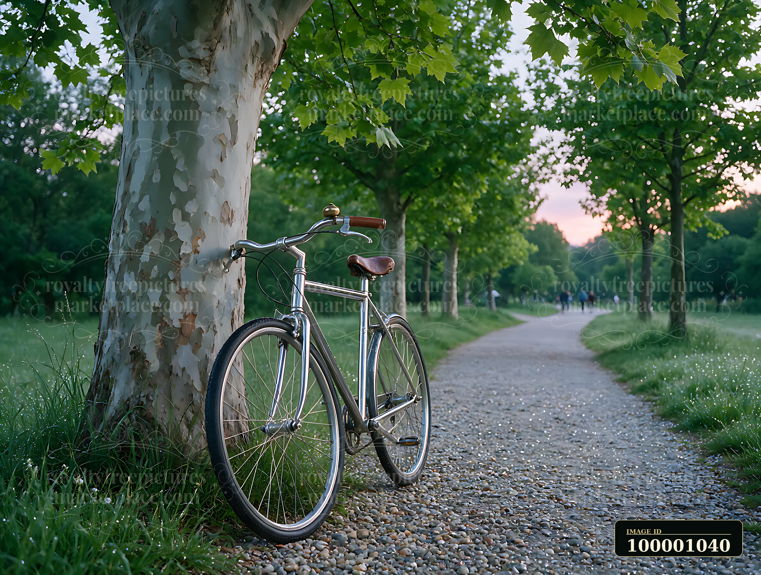 A bicycle is parked next to plane trees in a city park during the early evening.