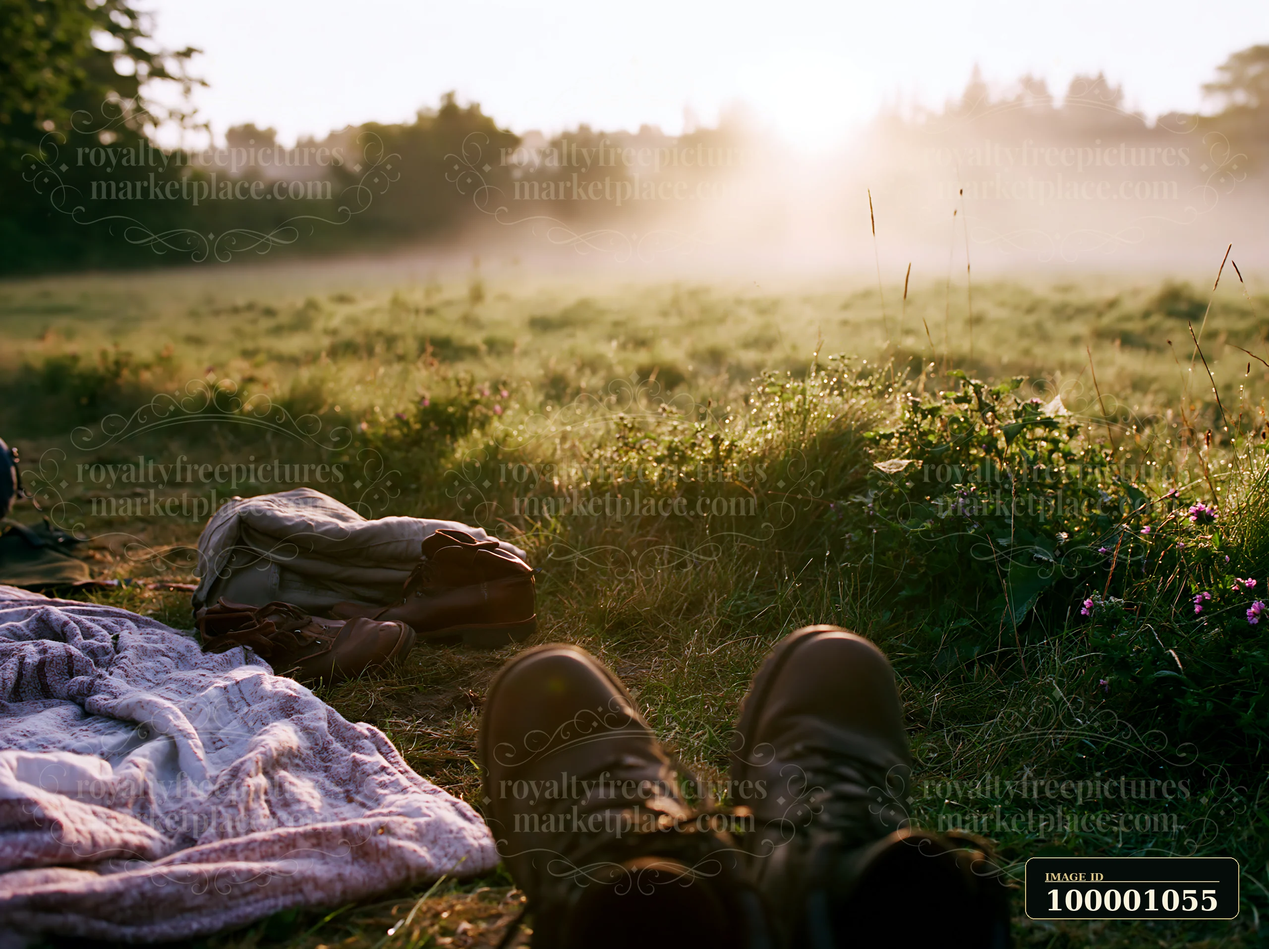 Sunbeams over a misty meadow create a warm glow as a person relaxes with boots on a blanket.