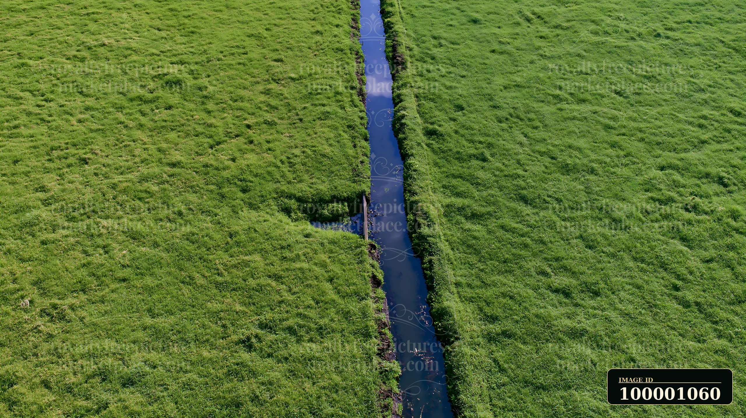 A green meadow viewed from above shows a narrow stream dividing the land.