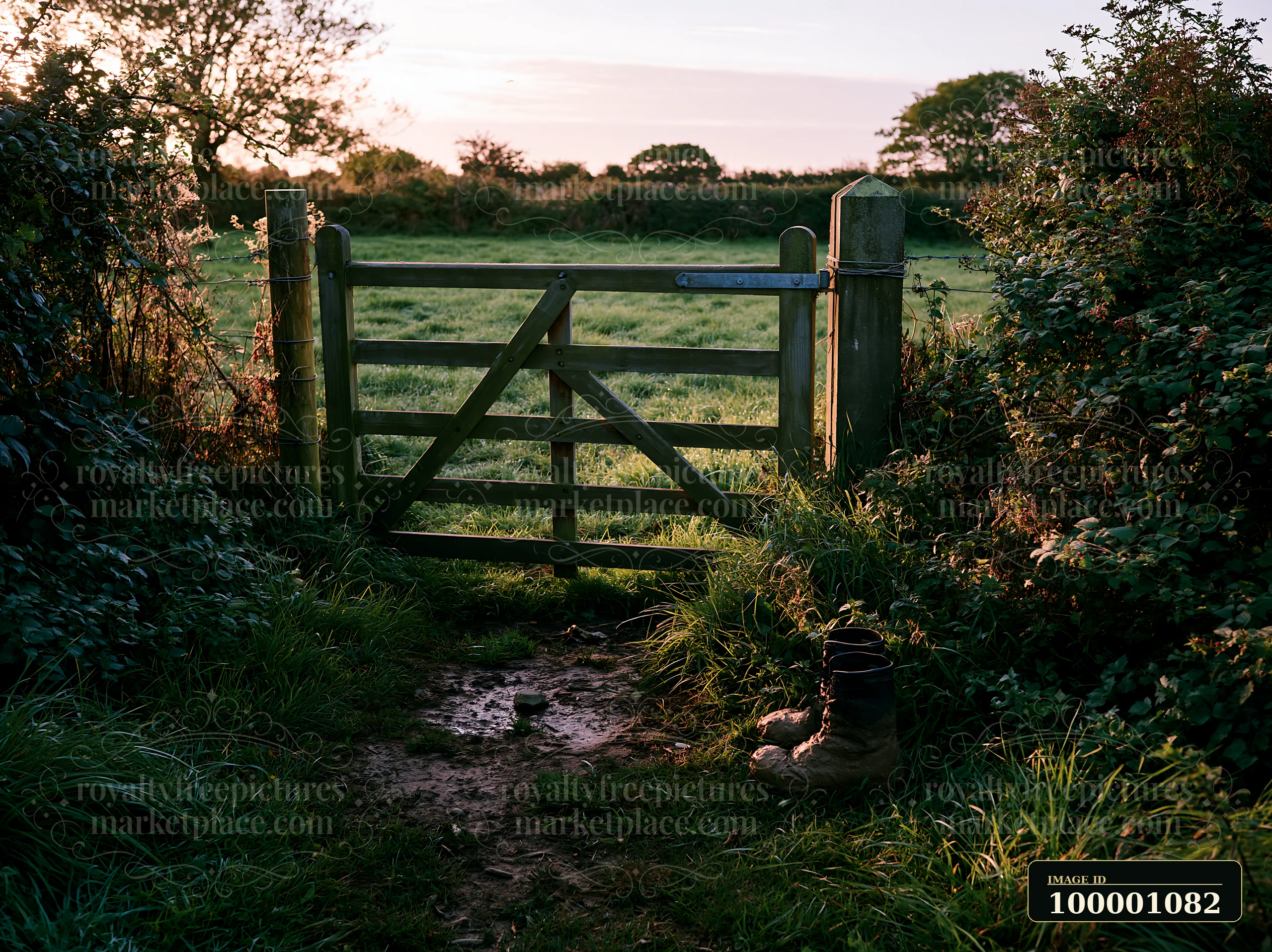 A wooden gate opens into a meadow surrounded by hedgerows.