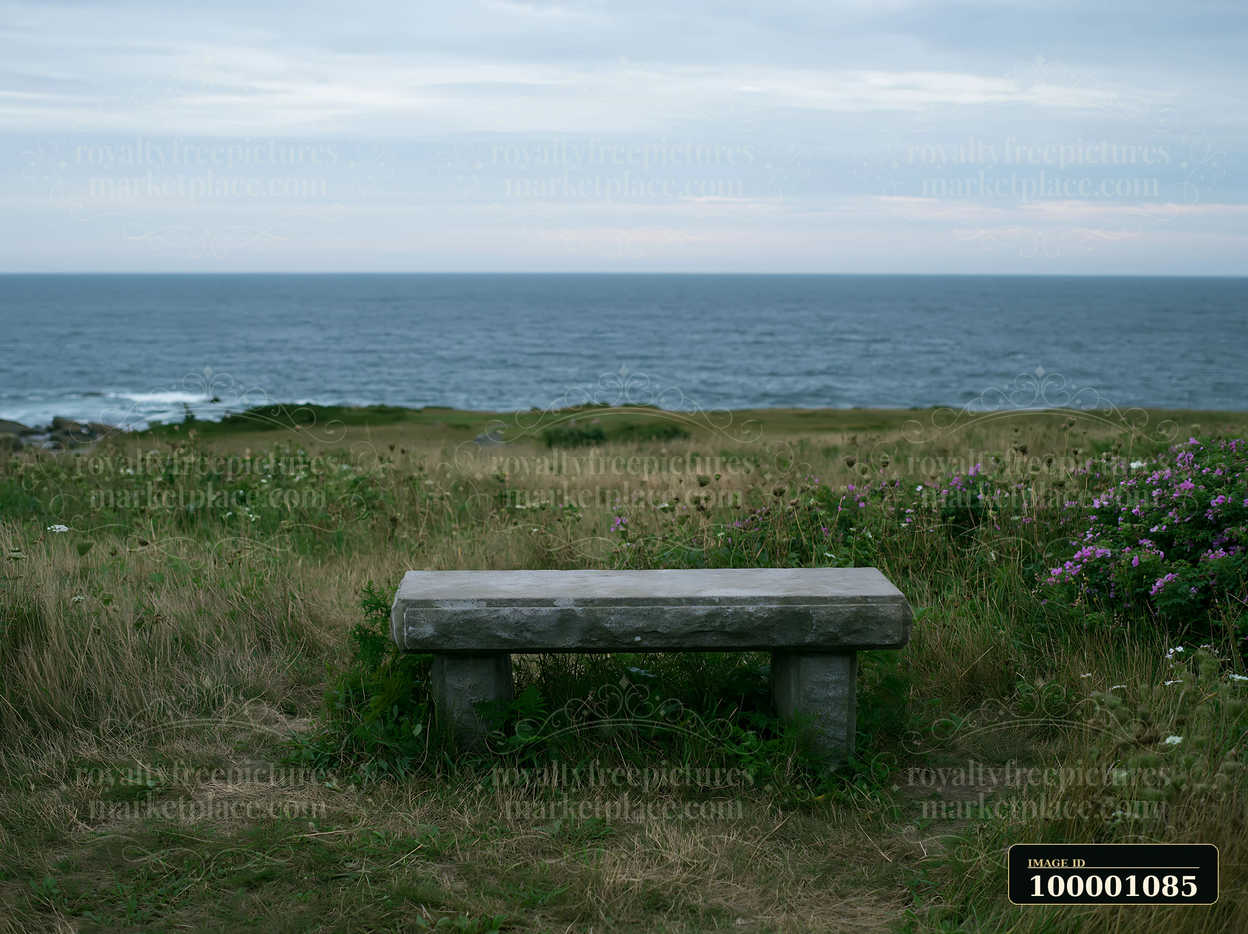 A stone bench sits in a coastal meadow overlooking the ocean.