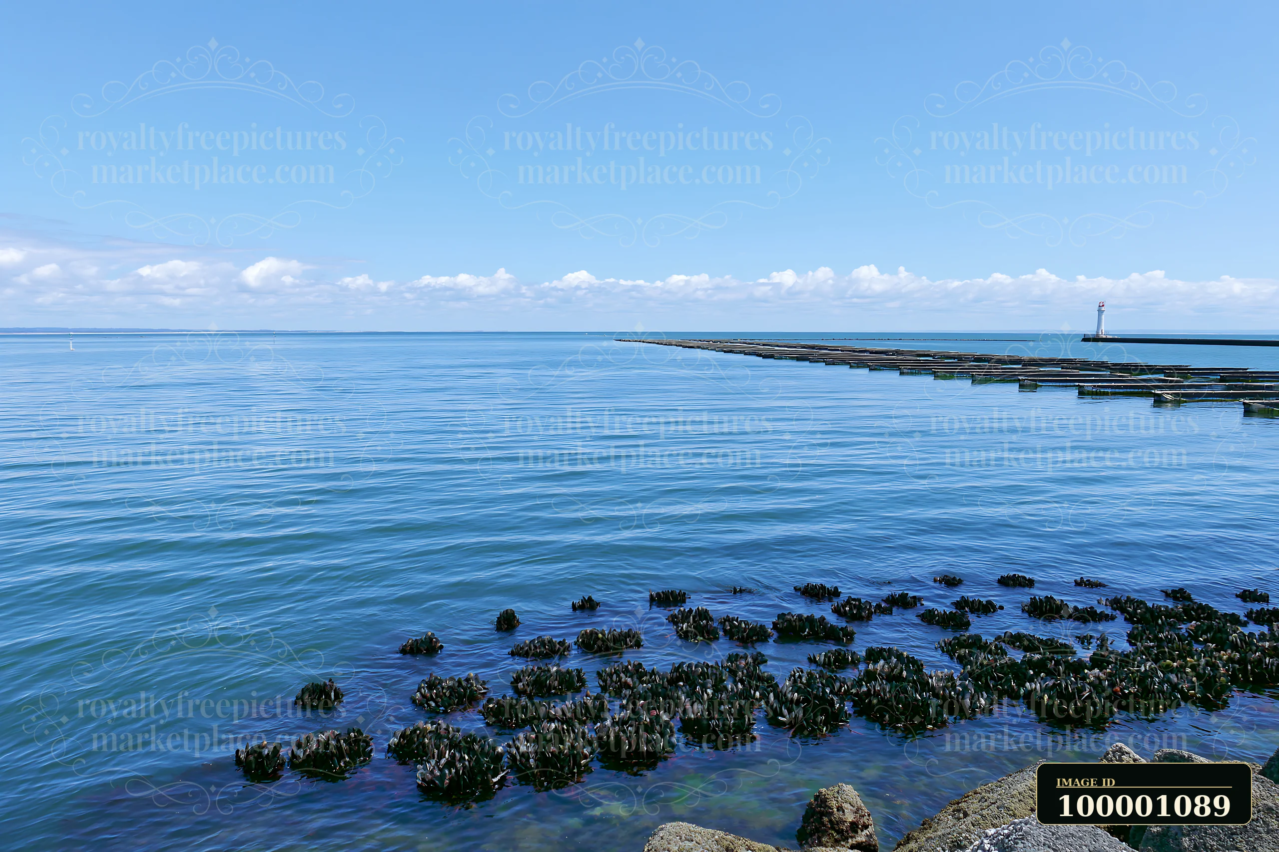 The photograph shows a coastline with mussel farms along the water's edge.