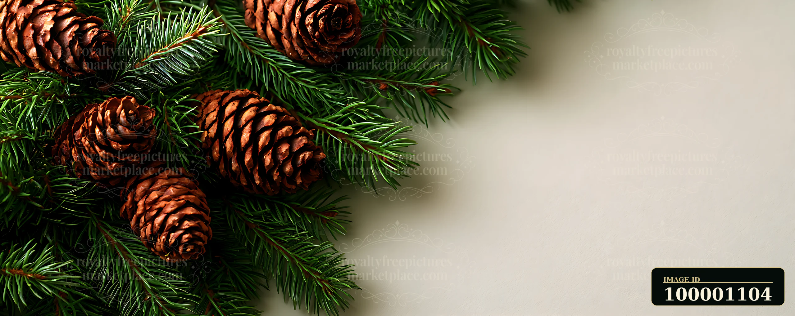 Branches of evergreen with large pinecones create a natural arrangement on a light background.