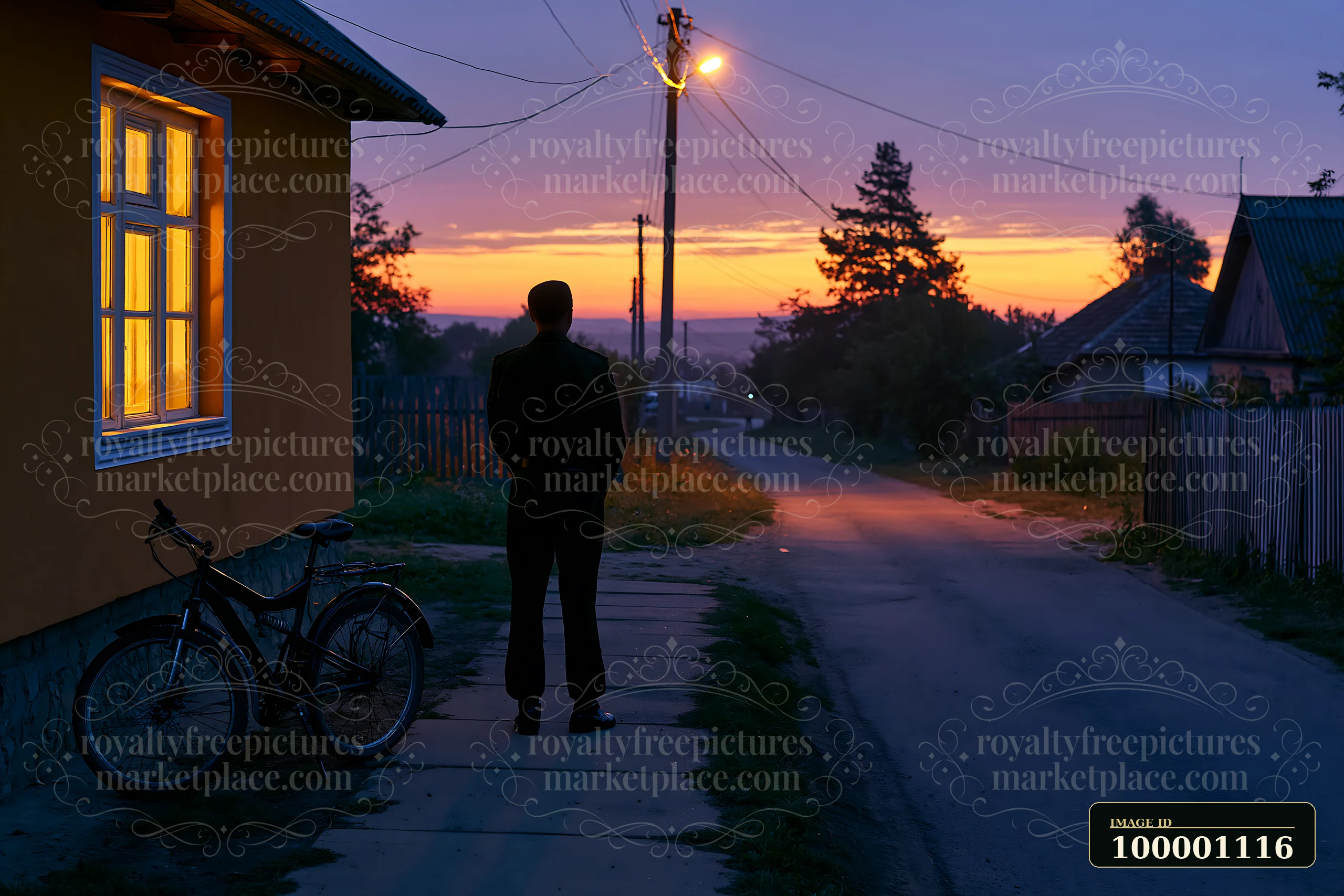 A soldier stands on a rural road at dawn, watching as light breaks over the horizon.