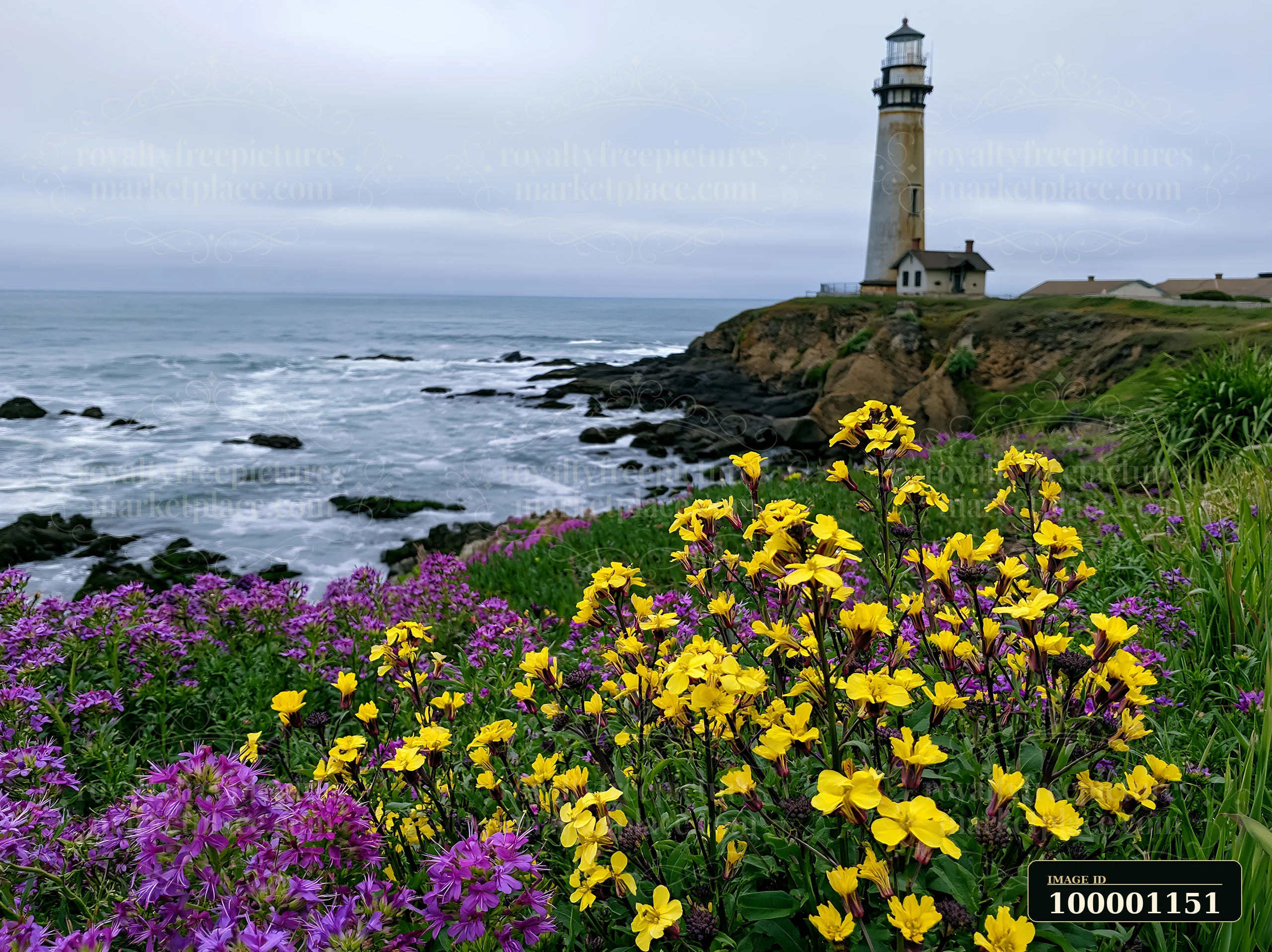A lighthouse stands on a rocky shore, surrounded by vibrant spring wildflowers.