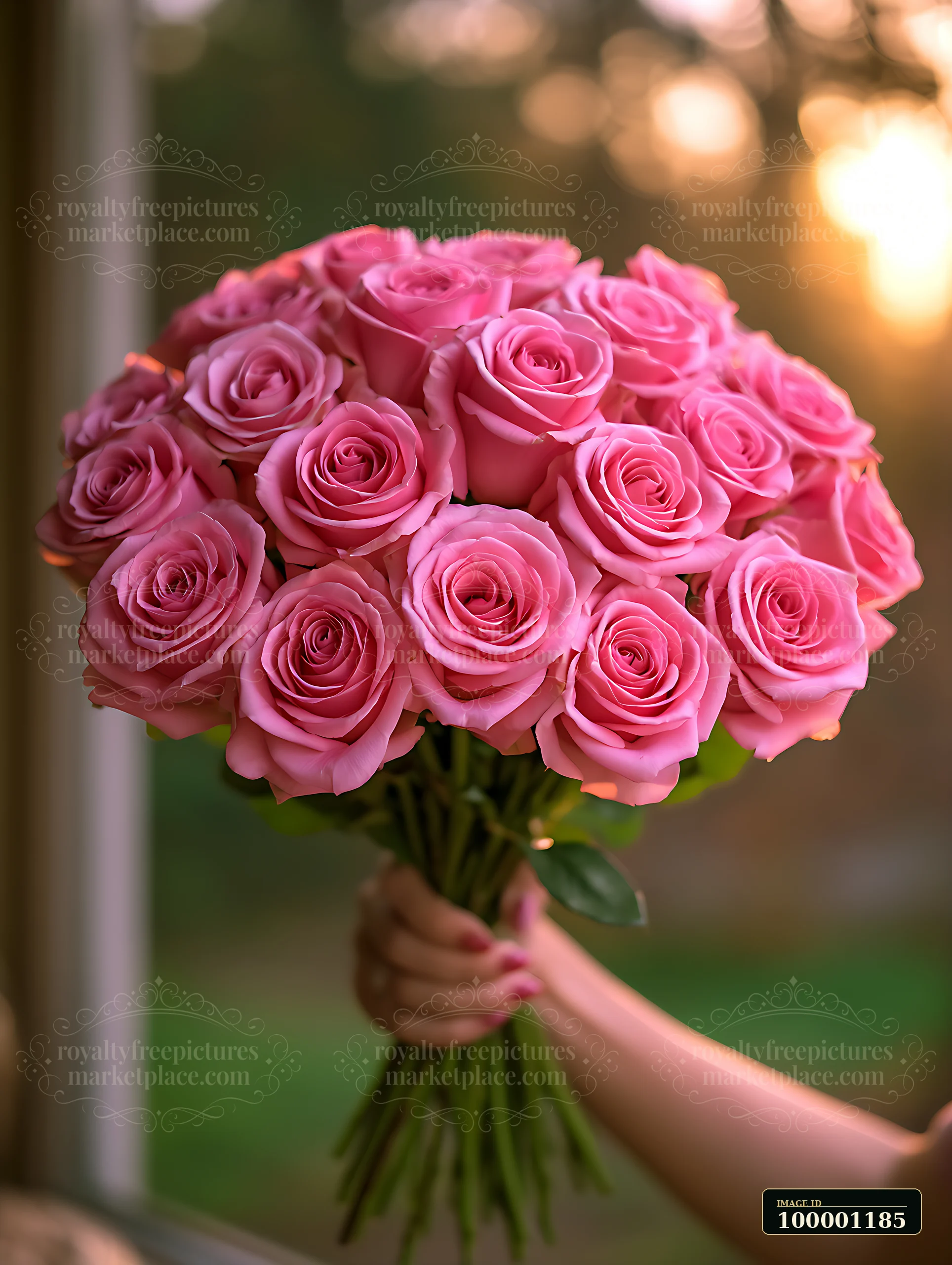 A person holds a large bouquet of pink roses in front of a window, with light shining softly in the background, creating a warm atmosphere.