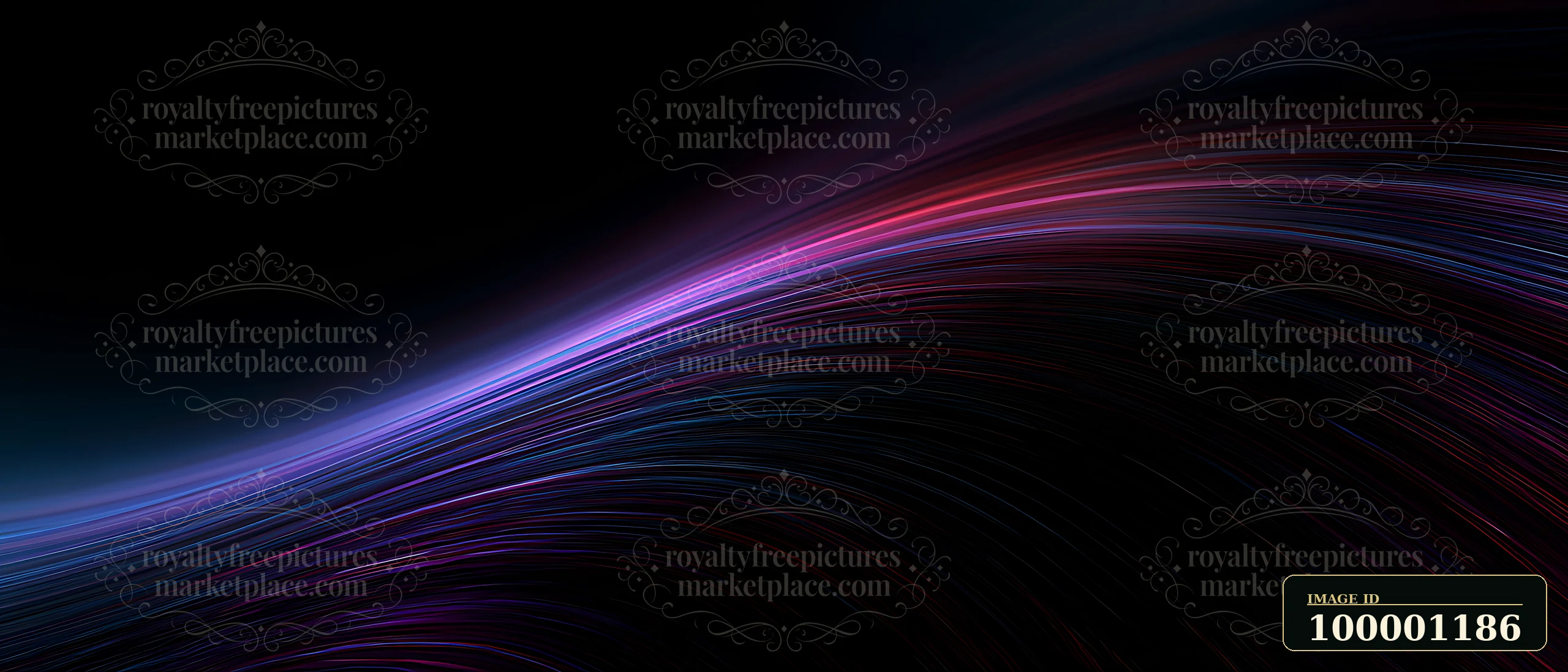 Bright light trails create a flowing pattern against a black background.