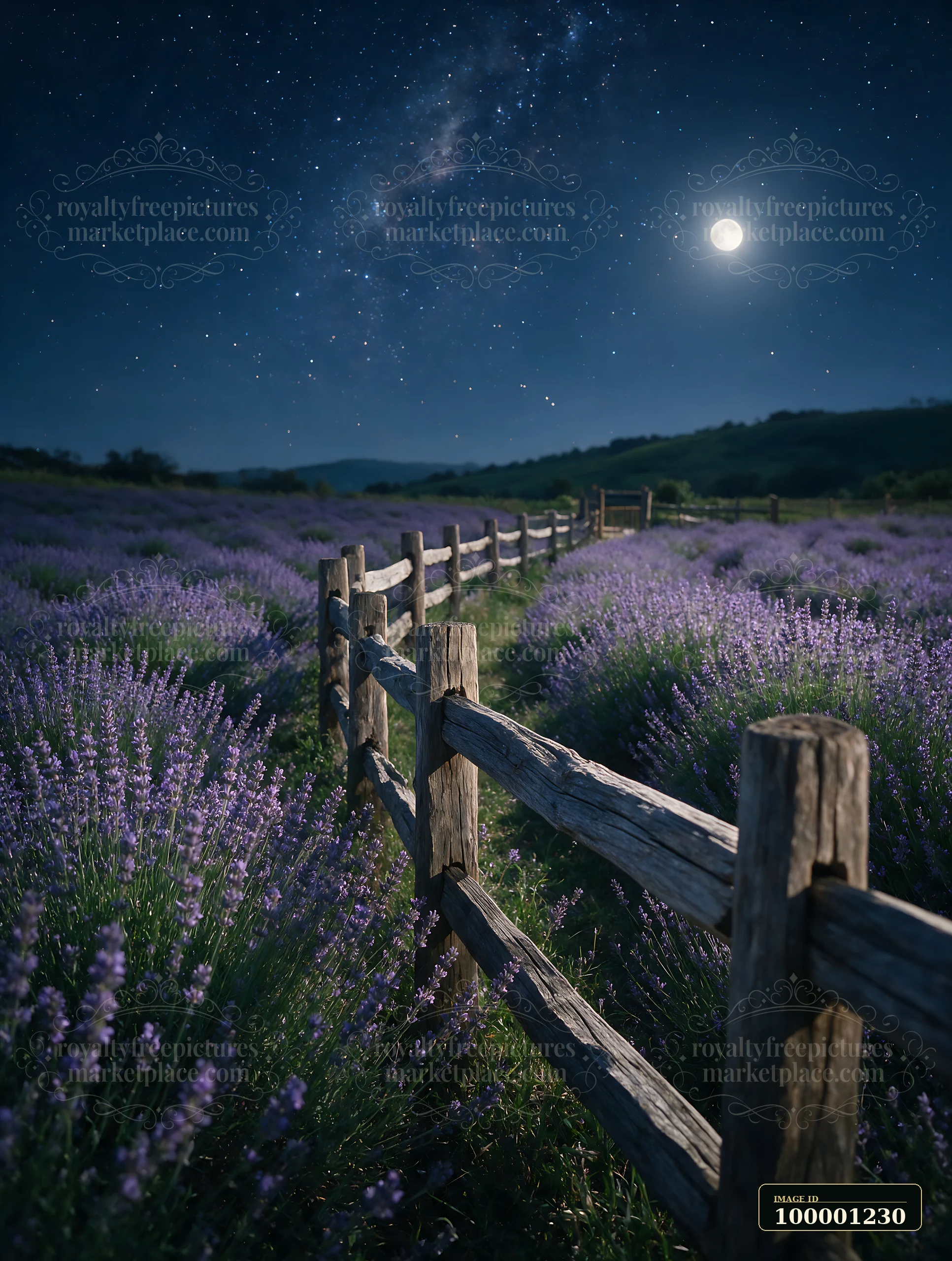 A wooden fence lines a vibrant lavender field under a starry night sky.