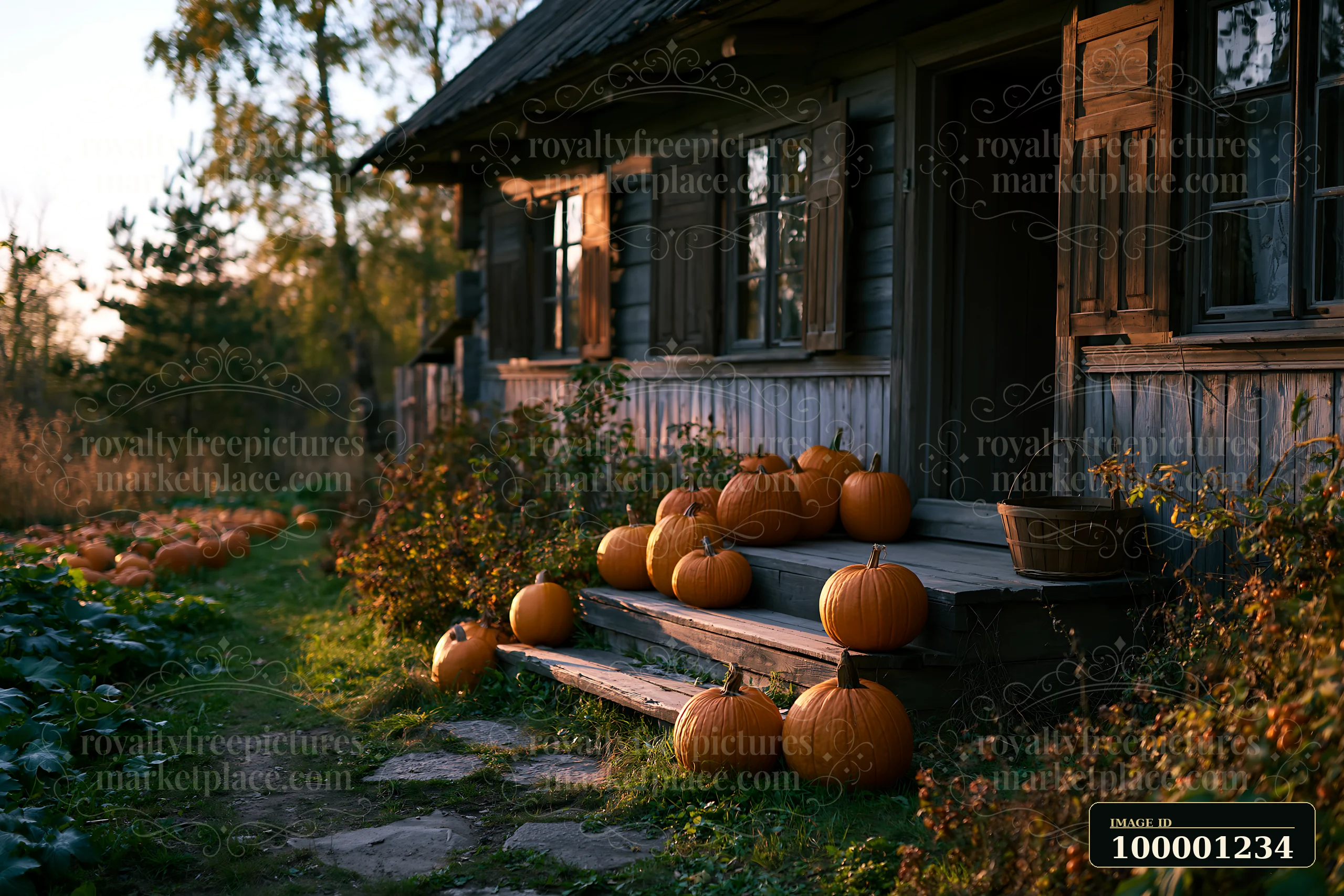A rustic house with wooden shutters stands next to a garden filled with pumpkins.