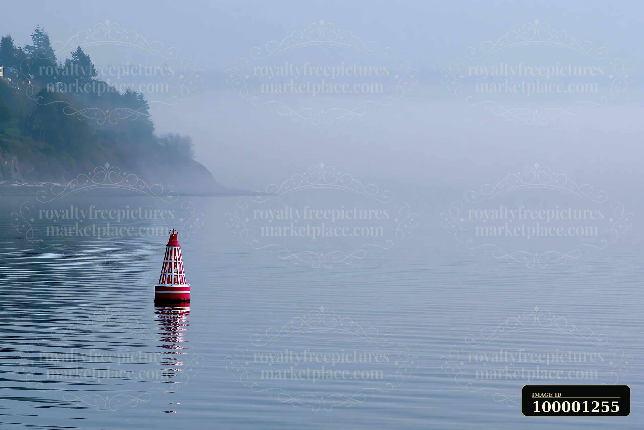 A buoy floats in calm waters as a coastline covered in sea fog looms in the background.