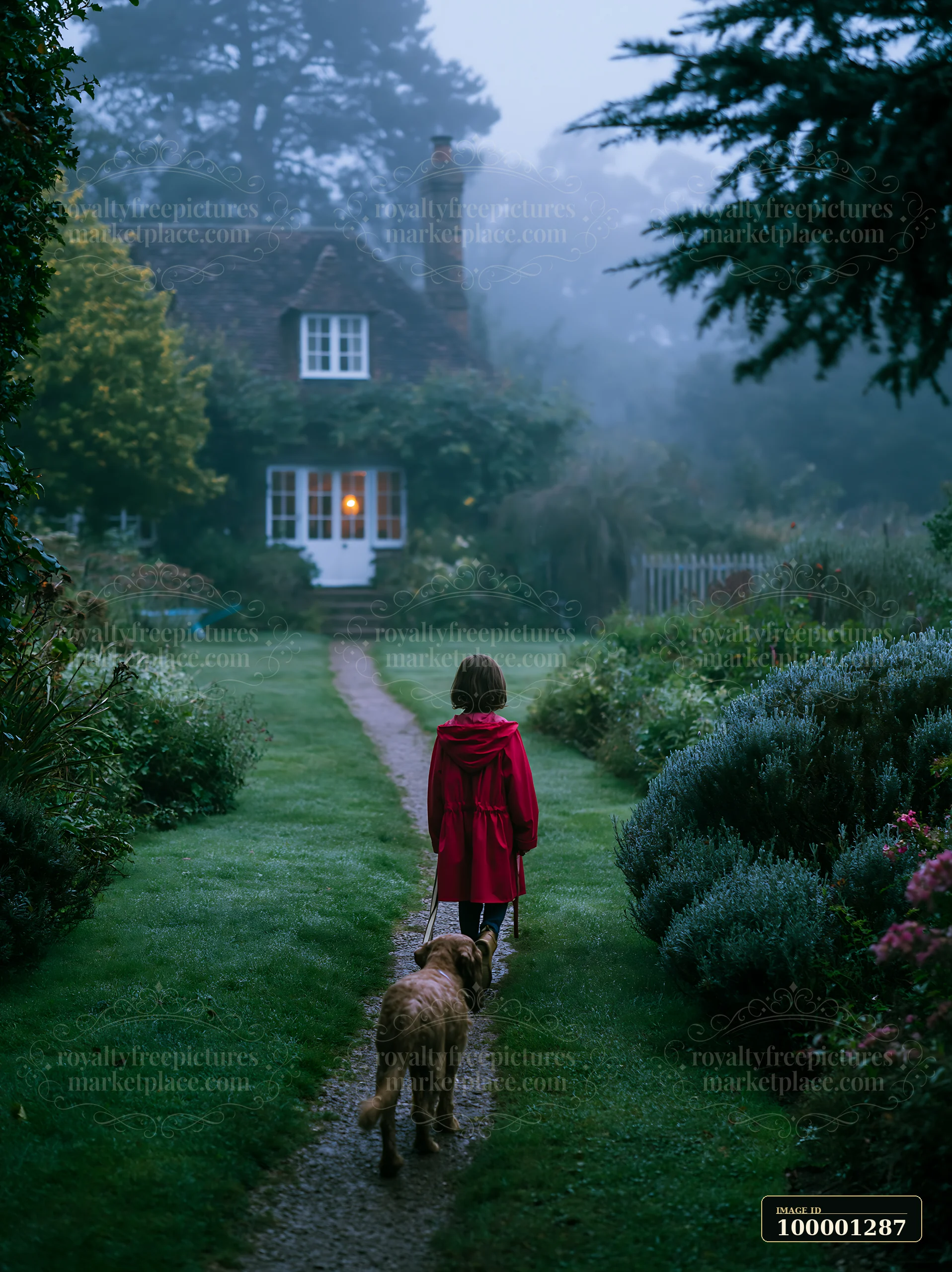 A child in a red coat walks a dog along a path through a garden in misty countryside around cottage.