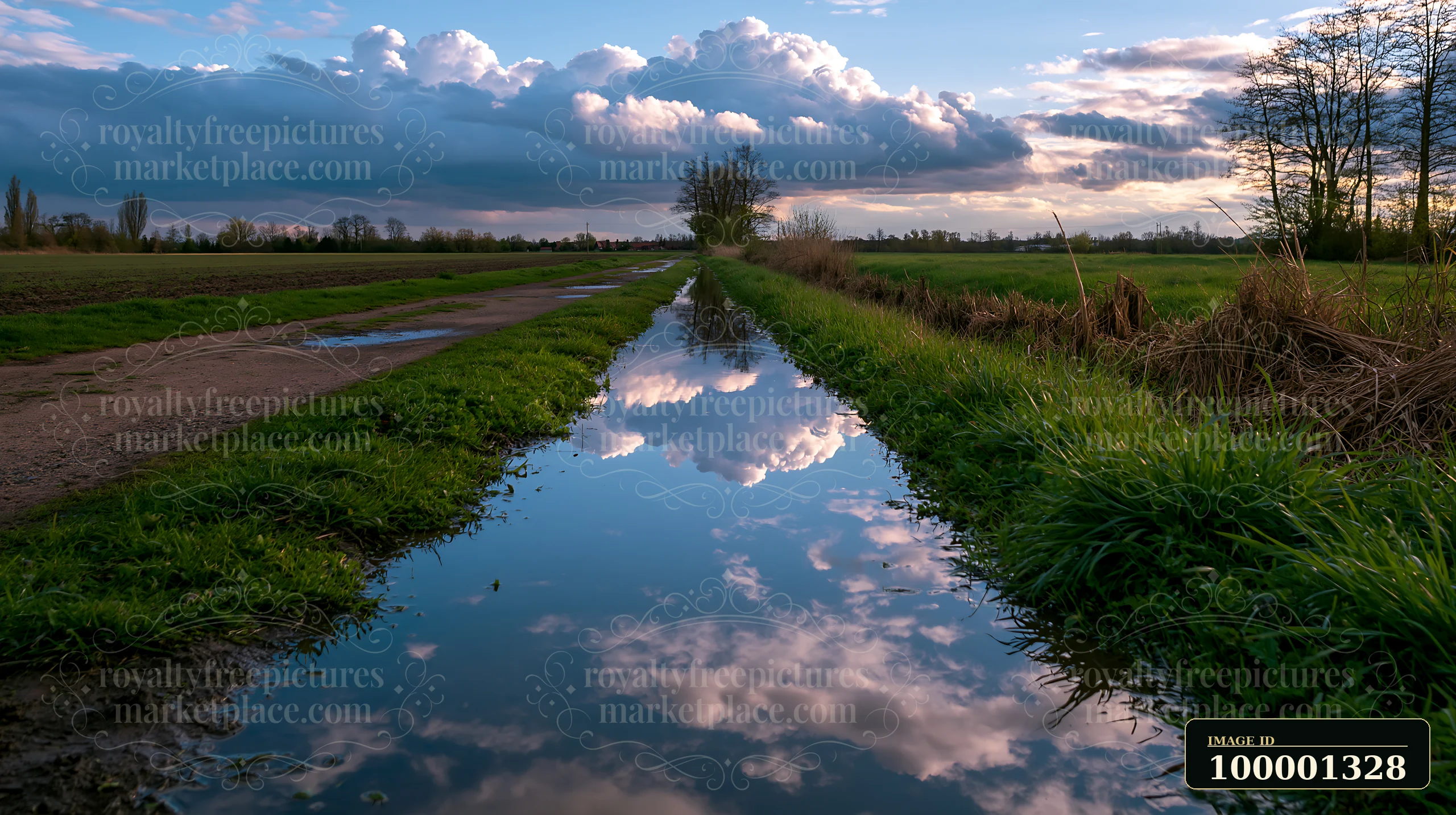 A meadow beside a rural road features water reflecting clouds and trees.