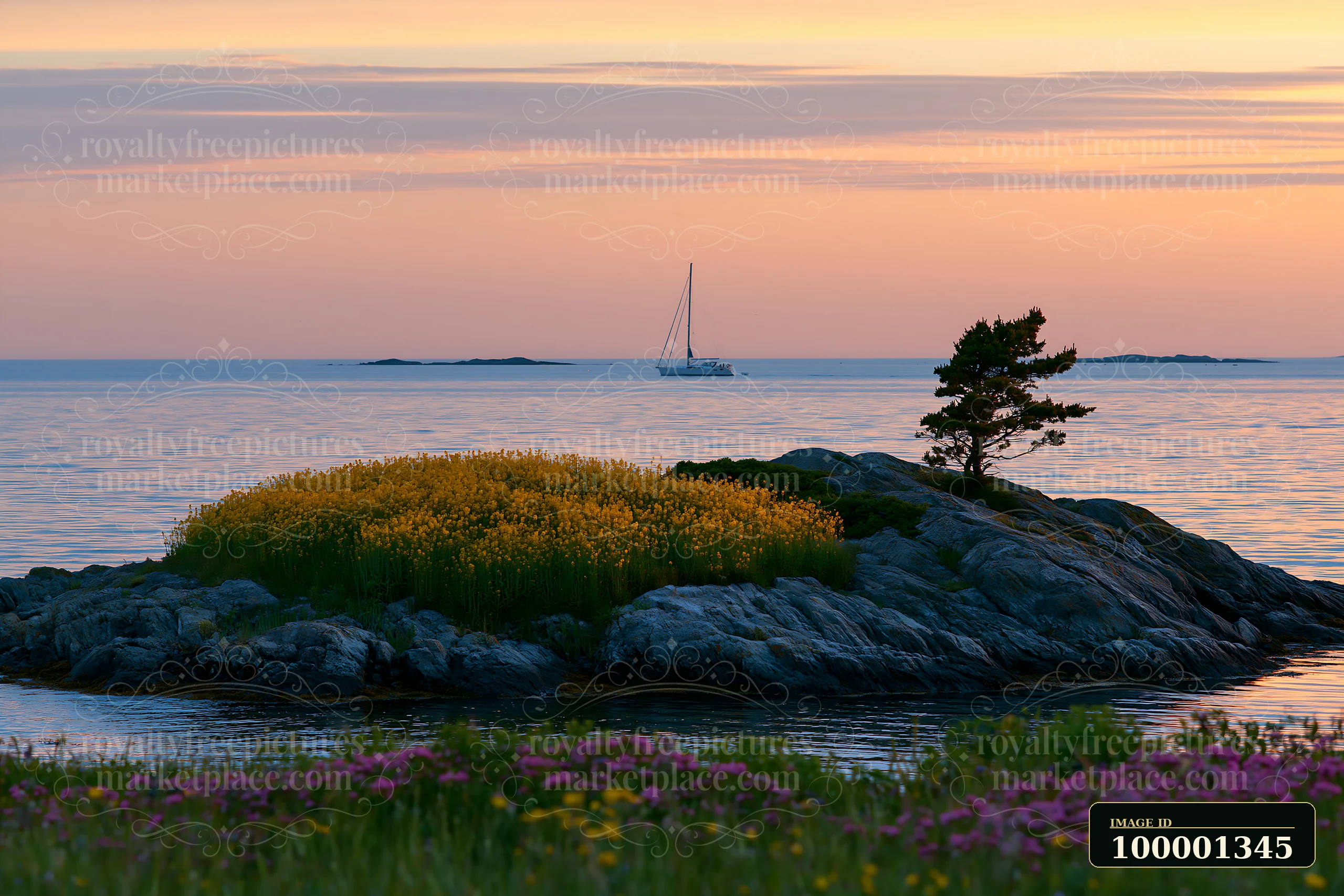 A small island features bright yellow flowers at sunset, reflecting warm colors above calm waters.