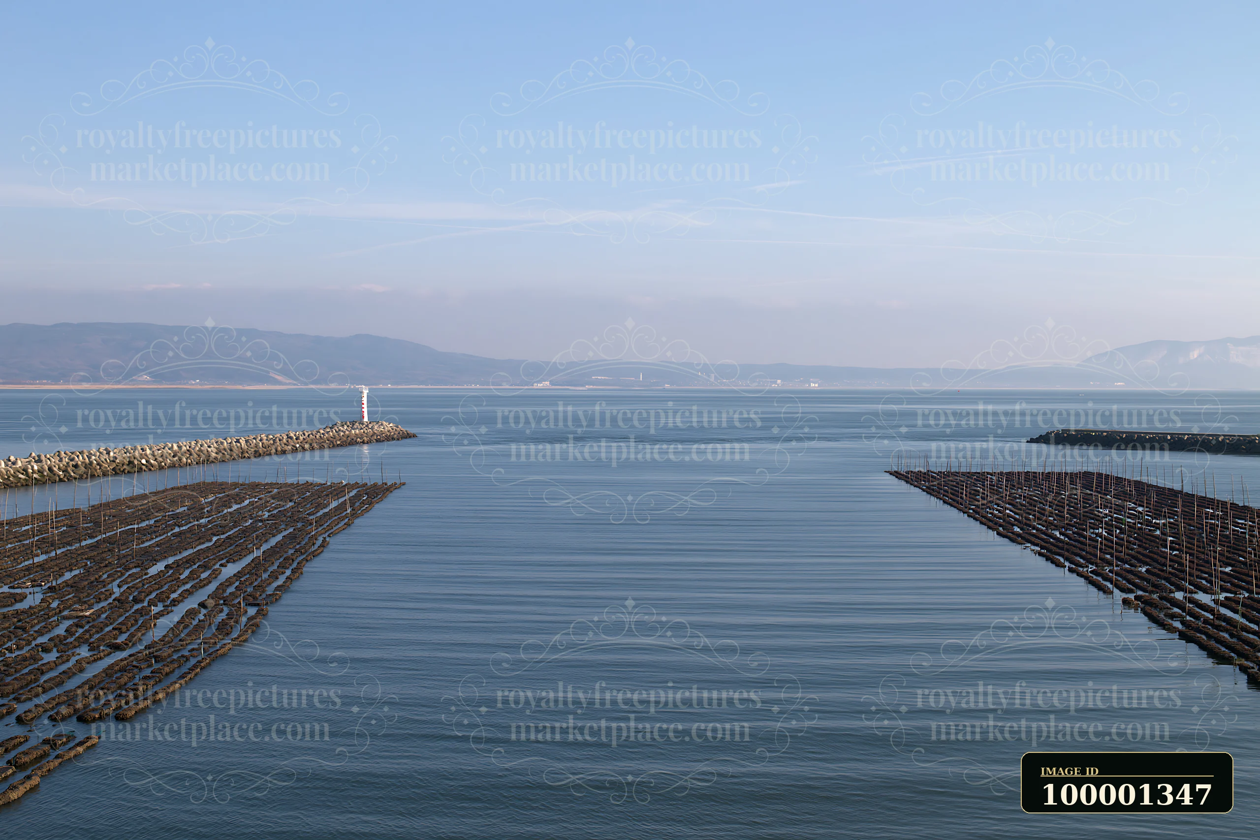 The view shows a coastline with mussel farms in the water.
