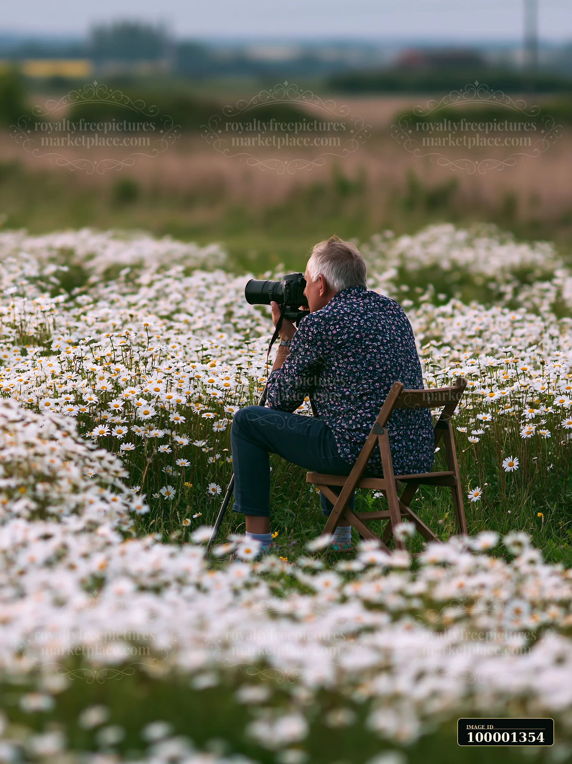 A man photographing meadow flowers sits on a chair in a large field filled with white daisies during the day.