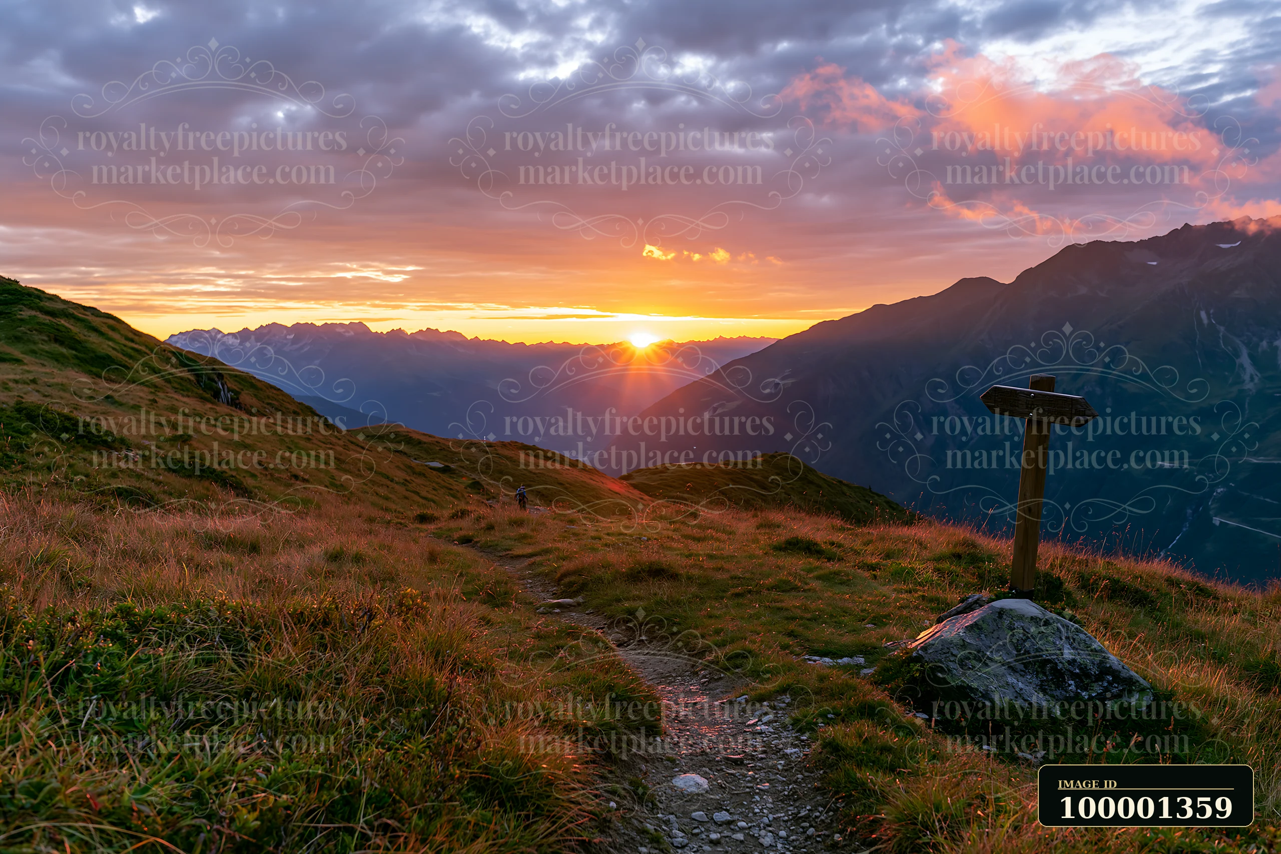 A vibrant sunset illuminates the Swiss landscape in golden light, with a winding hiking path, green grass, and distant mountains creating a beautiful scene.