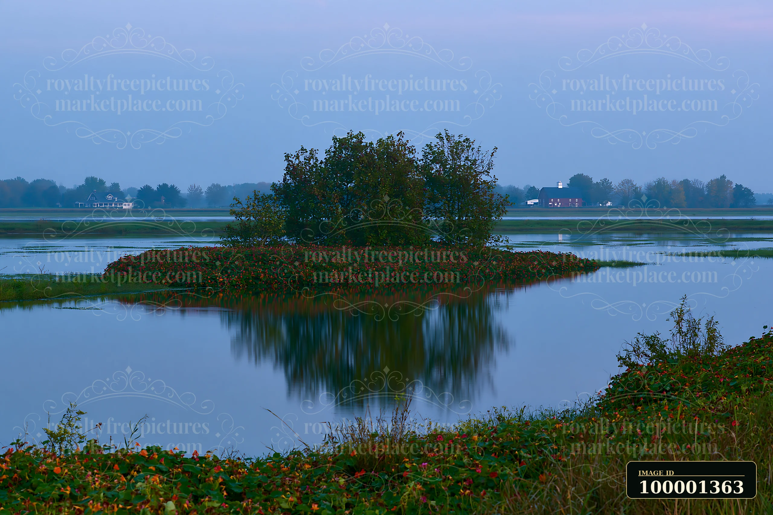 An island covered with nasturtiums stands in a body of water, reflecting the trees nearby.