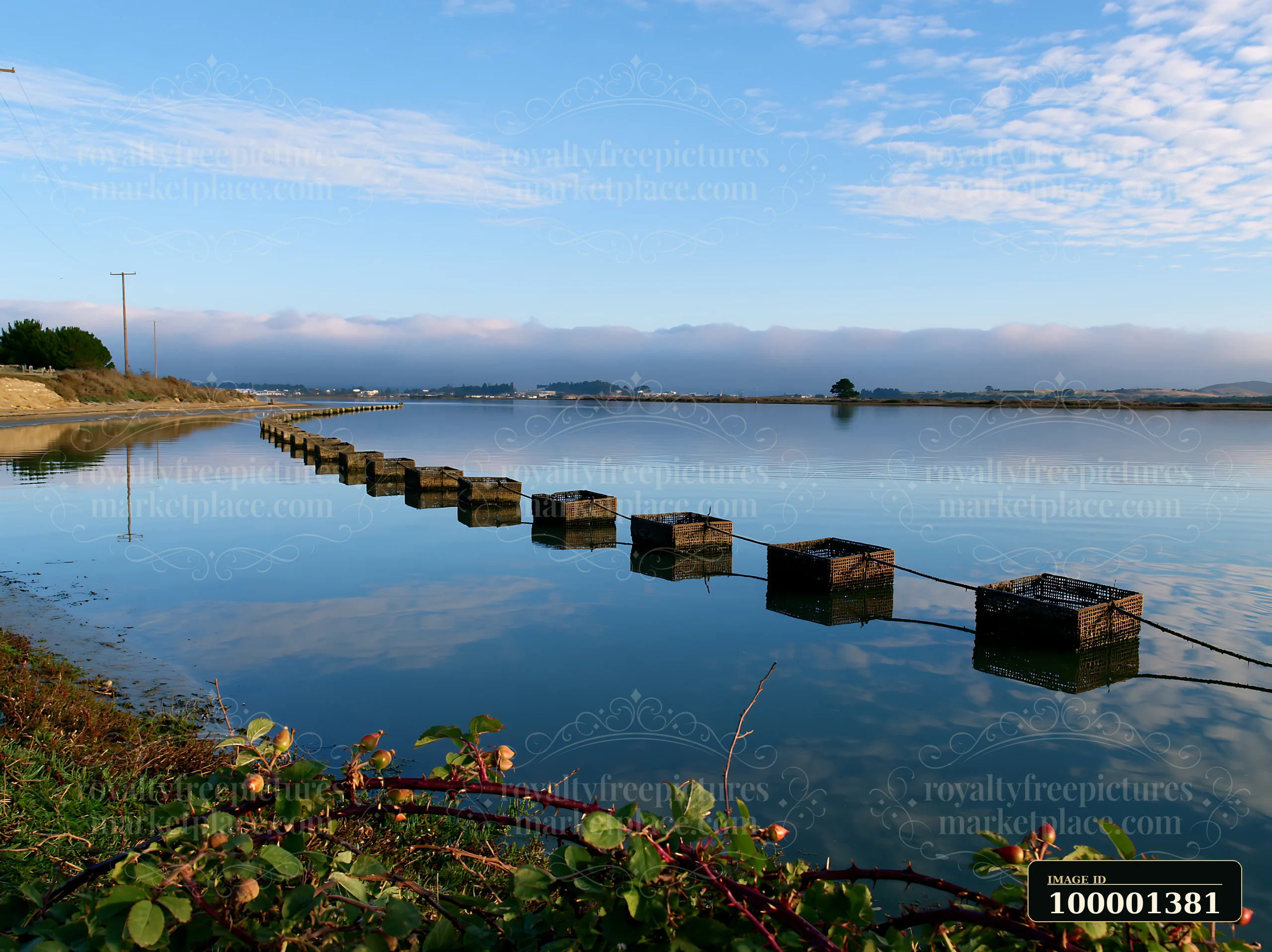 Oyster beds line the shoreline in a calm bay with clear water.