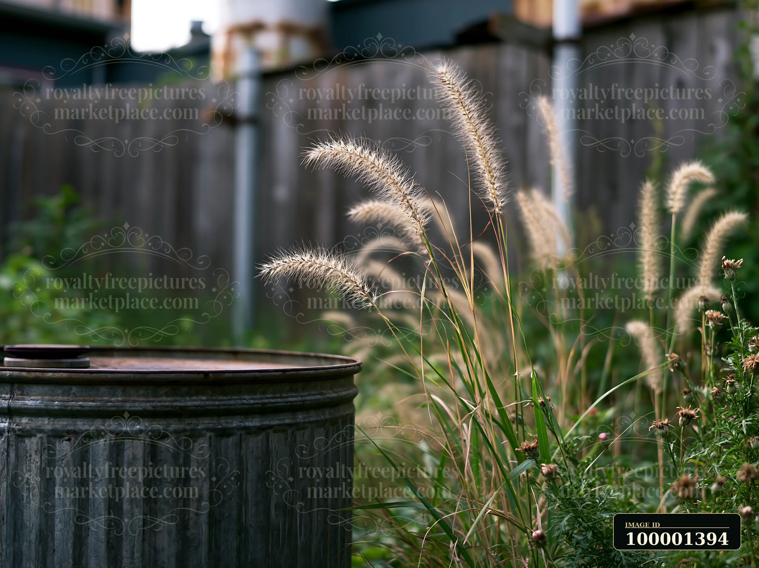 Tall grass and weeds grow freely around a trash bin in an urban setting, highlighting the contrast between nature and city structures.