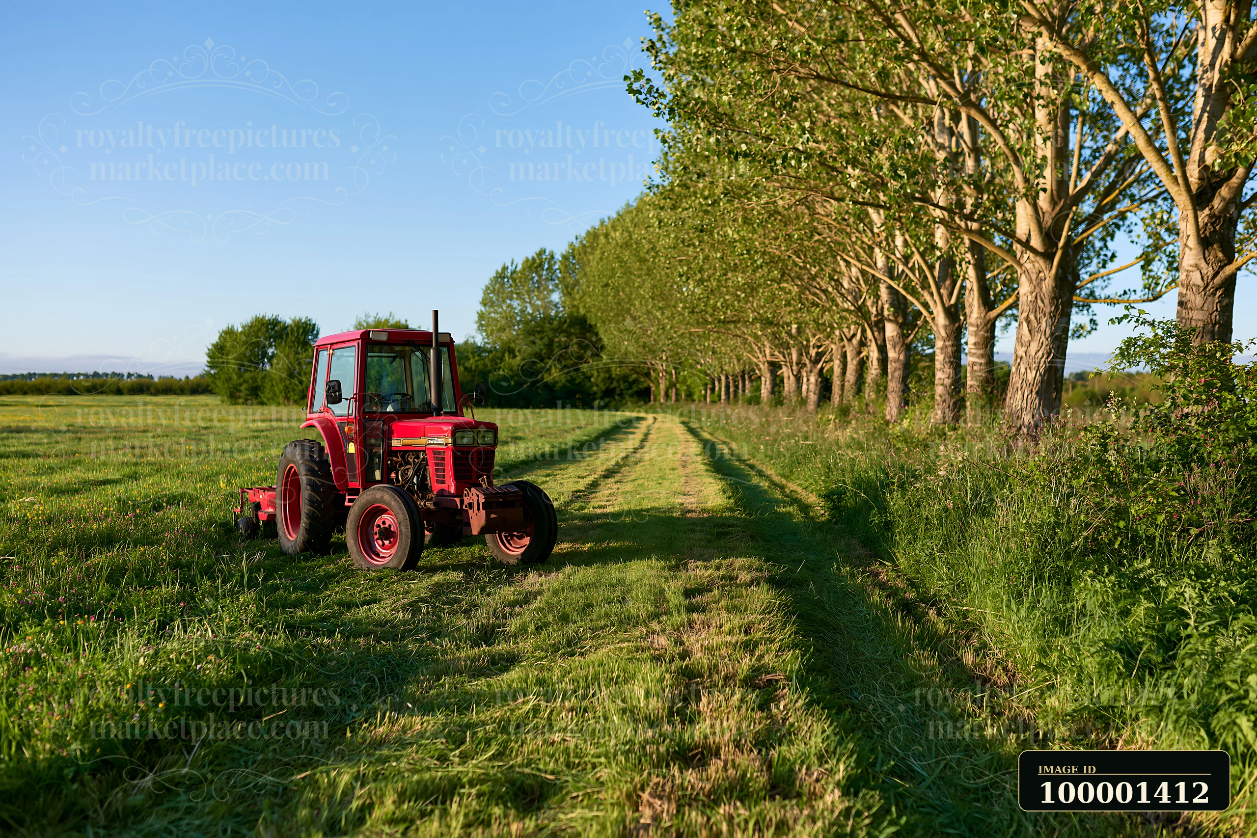 A tractor mows a meadow surrounded by tall trees in a rural setting.