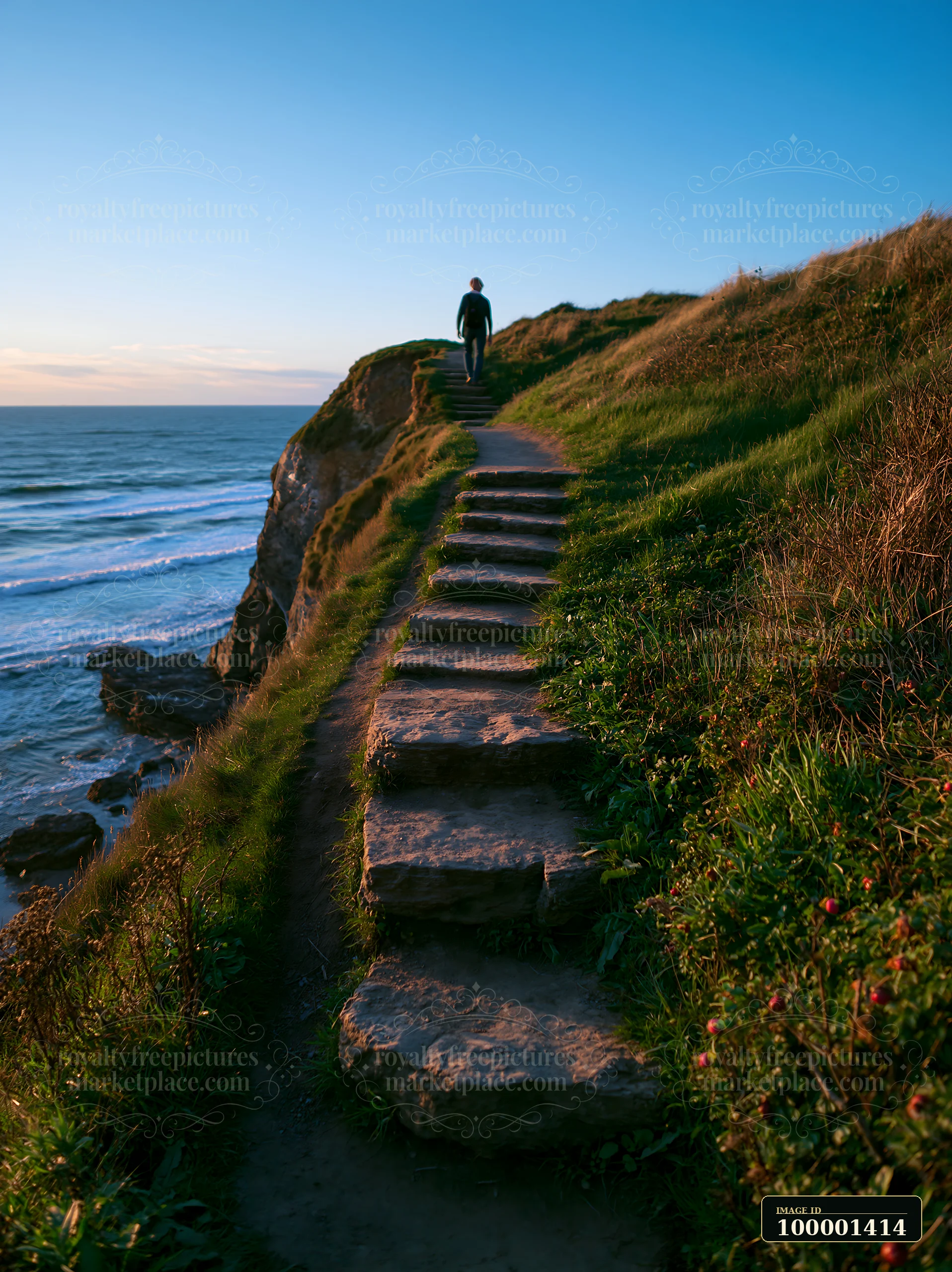 A lone person walks along a winding path on a cliff, overlooking the ocean waves.
