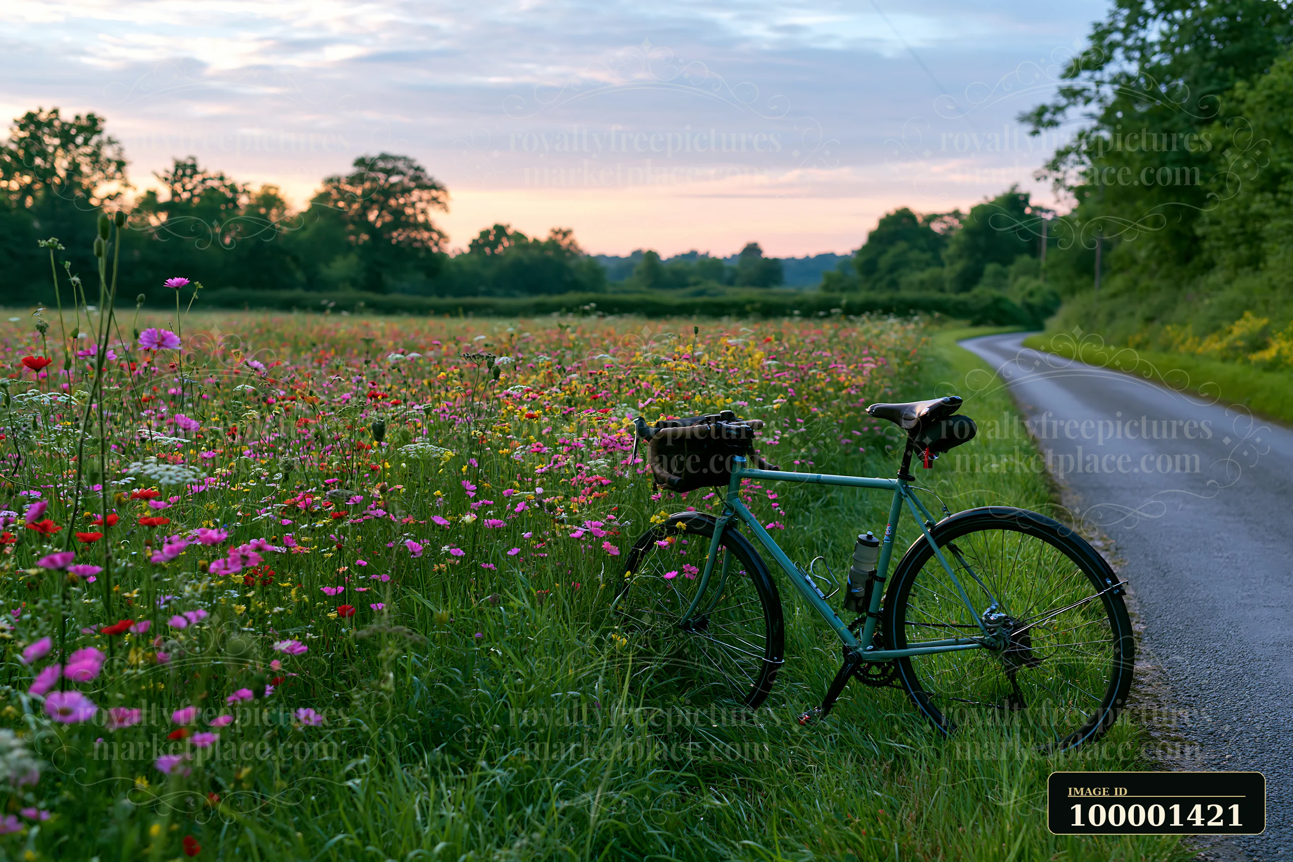 A bicycle stands beside a colorful meadow beside a rural road at dusk.