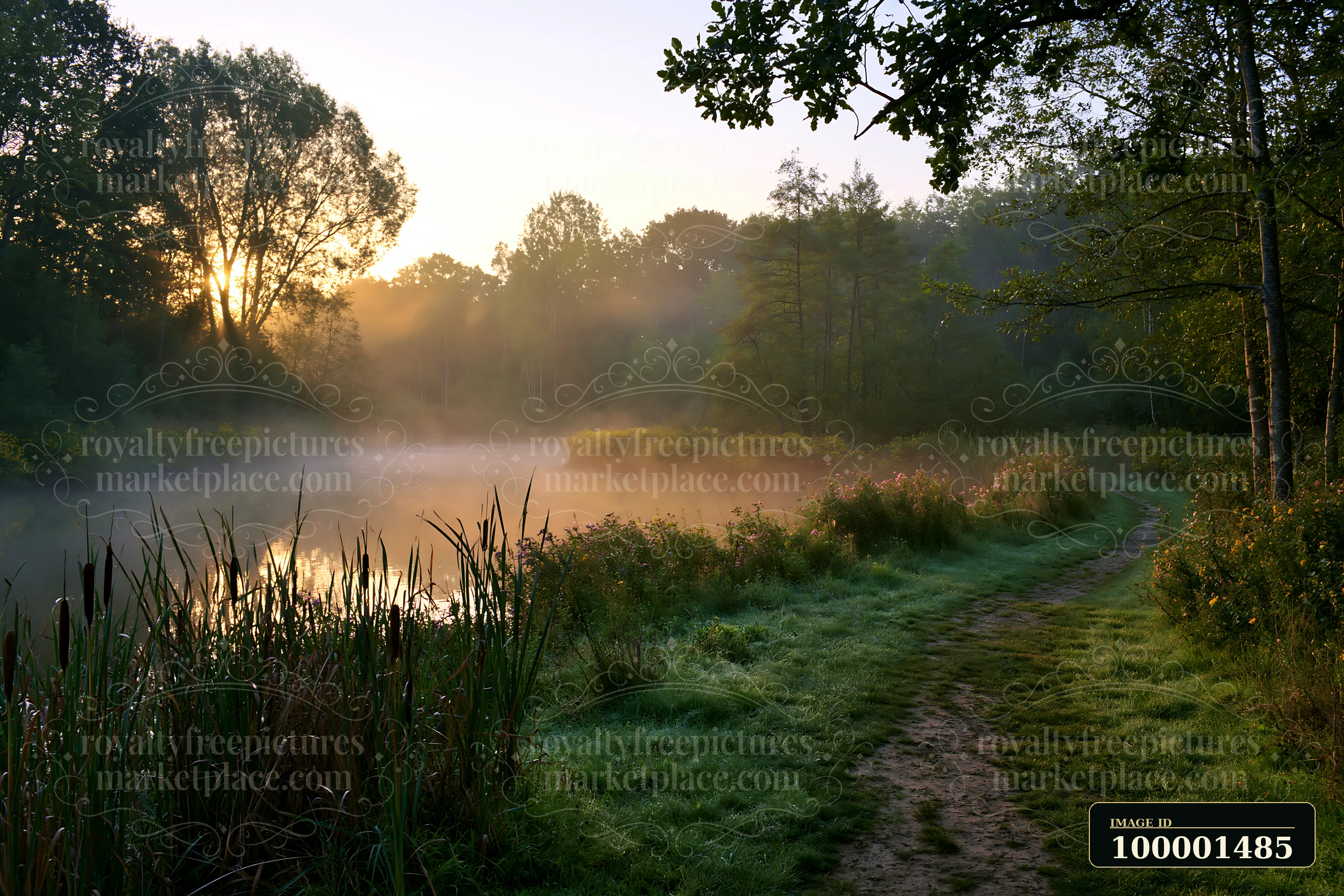 Morning light breaks through trees, illuminating flowers around a natural pond.