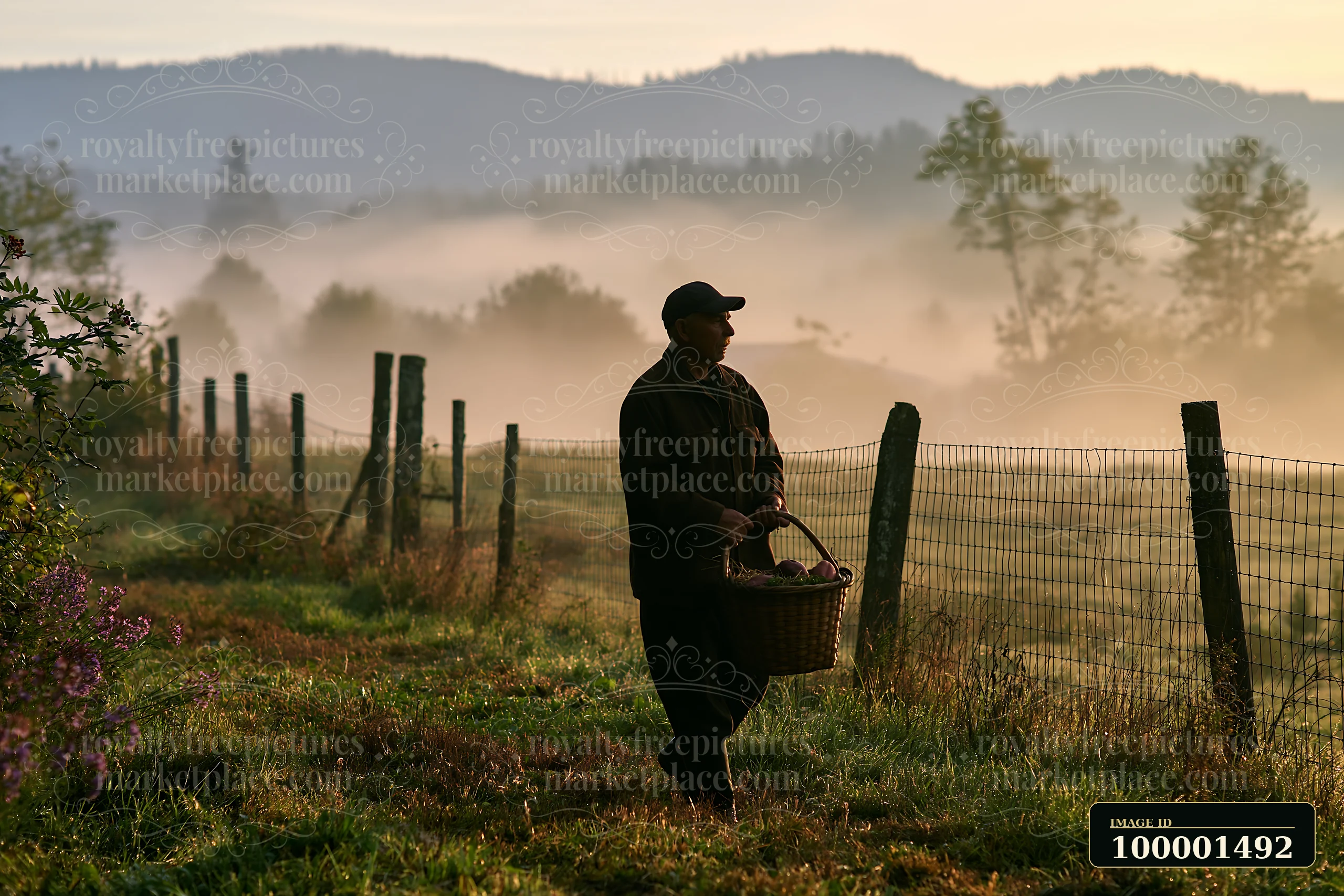 A person walks along a path carrying a basket in a meadow as fog drifts across the ground around them.