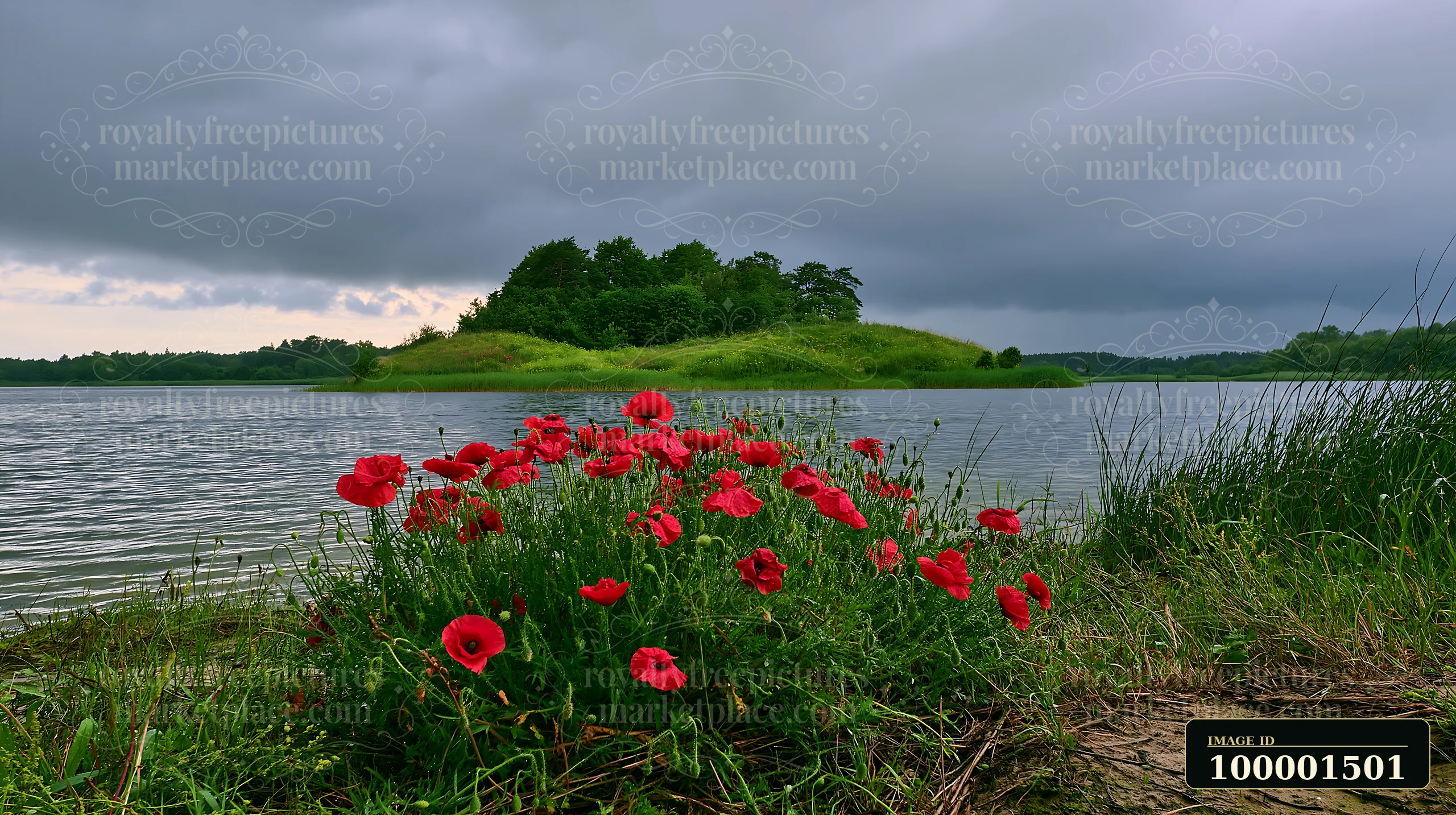A small island is surrounded by water and features a cluster of red flowers along the shore.