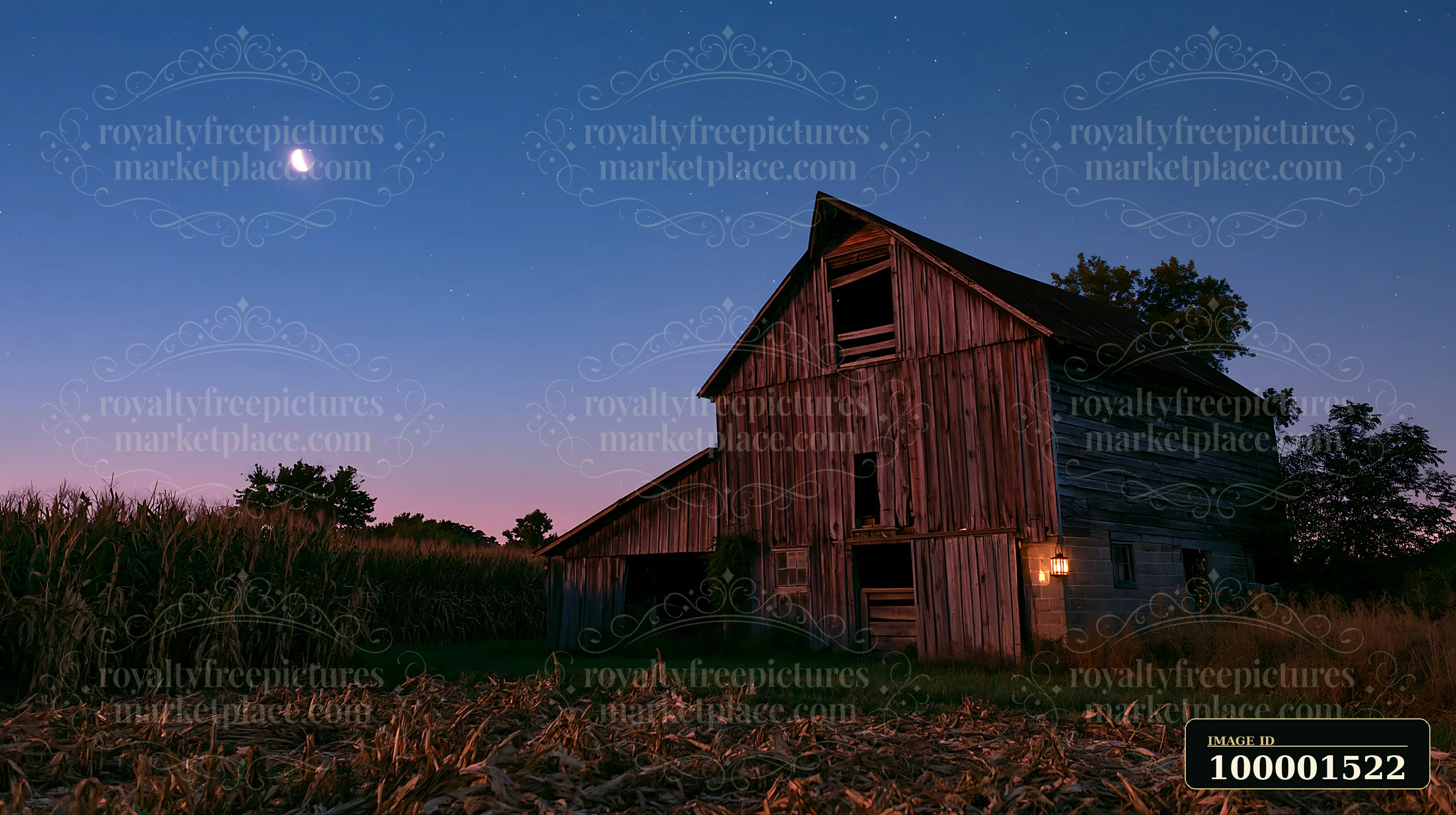 A wooden barn stands in a rural area under a starry night sky.