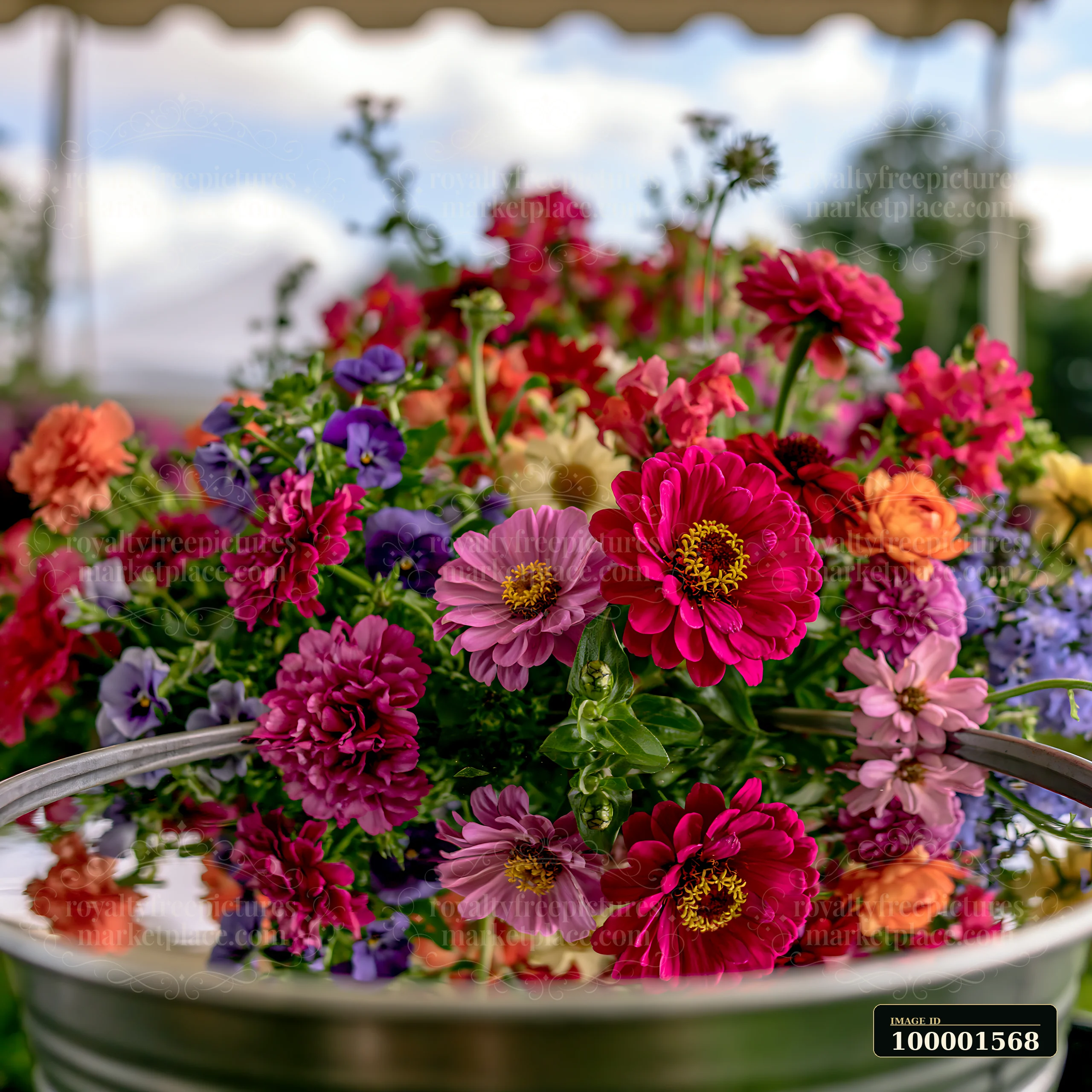 A vibrant display of mixed seasonal flowers sits on a table at a farmers market.