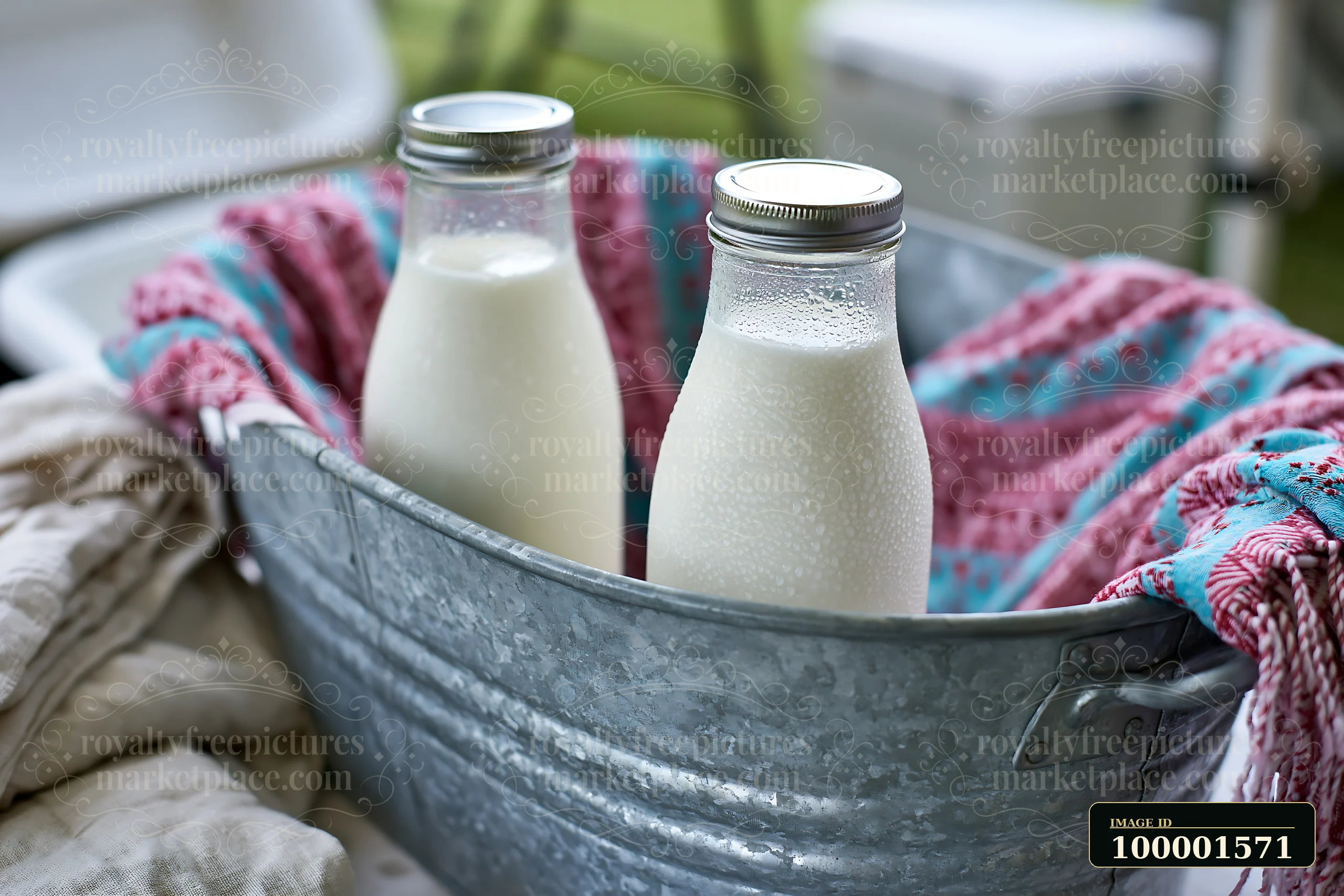 Two clear glass bottles filled with milk sit in a metal cooler lined with a colorful blanket, surrounded by a casual outdoor setting.