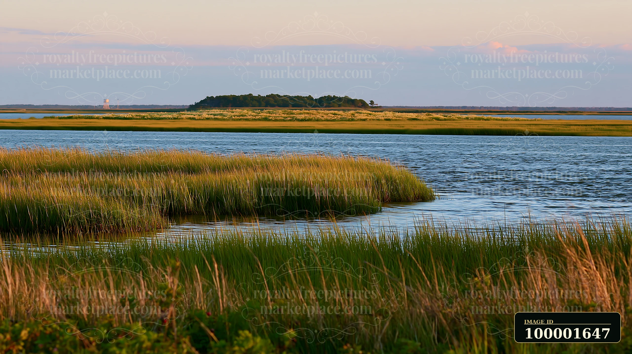 A small island with greenery stands out against the water during sunset.