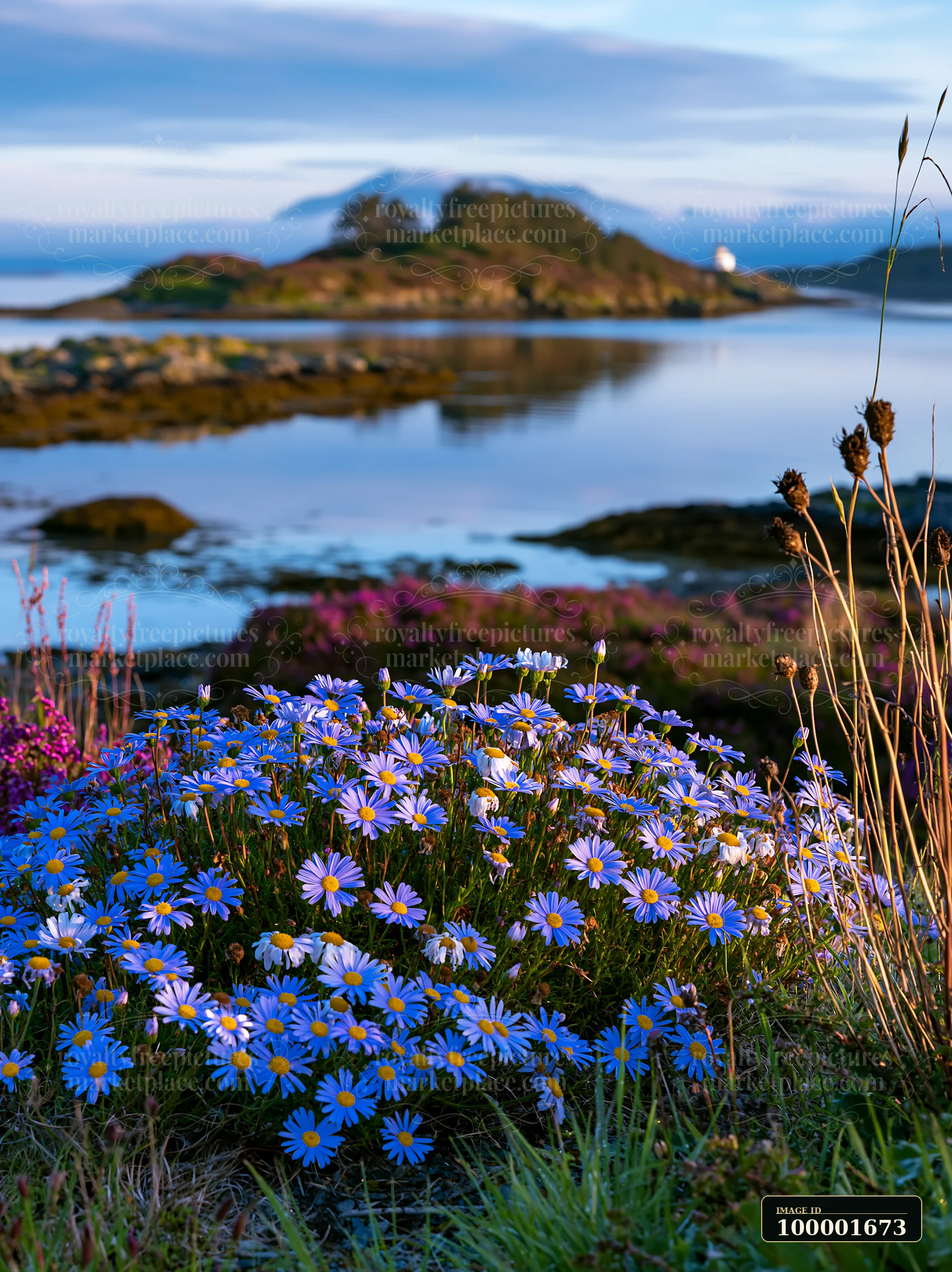 A vibrant display of flowers sits in the foreground while a small island with a lighthouse appears in the distance, surrounded by water reflecting the sky at su
