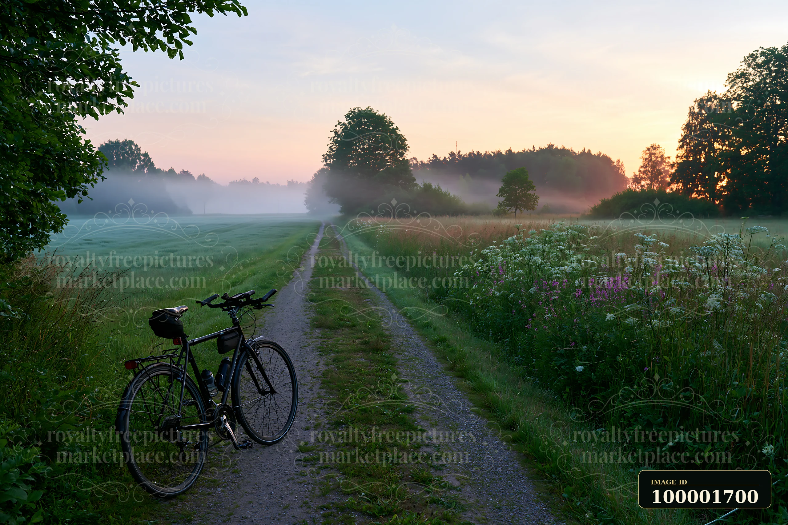 A bicycle leans against the gravel path beside a meadow beside a rural road.
