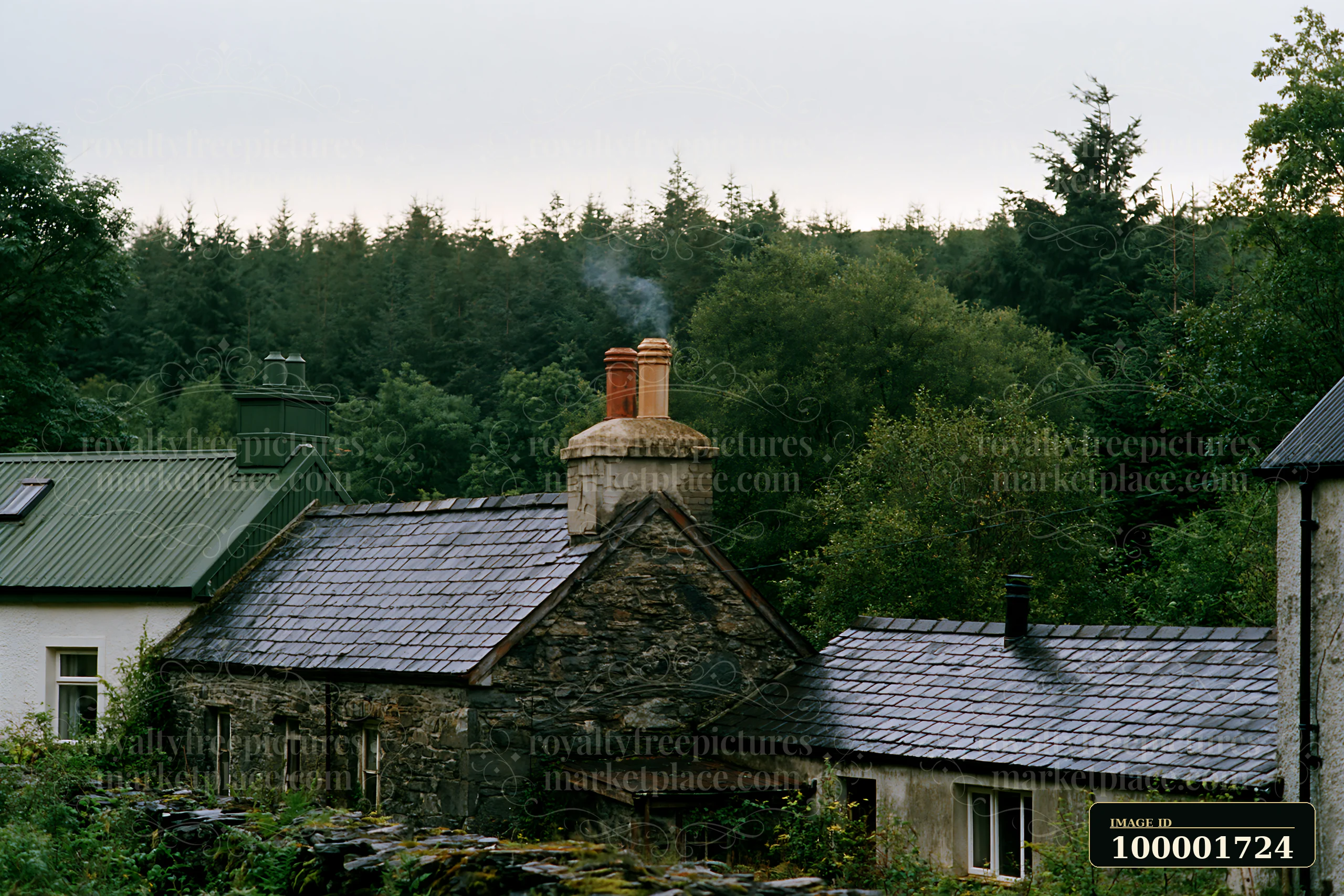 A rural cottage shows smoke rising from its chimney after rain, surrounded by trees and lush greenery.