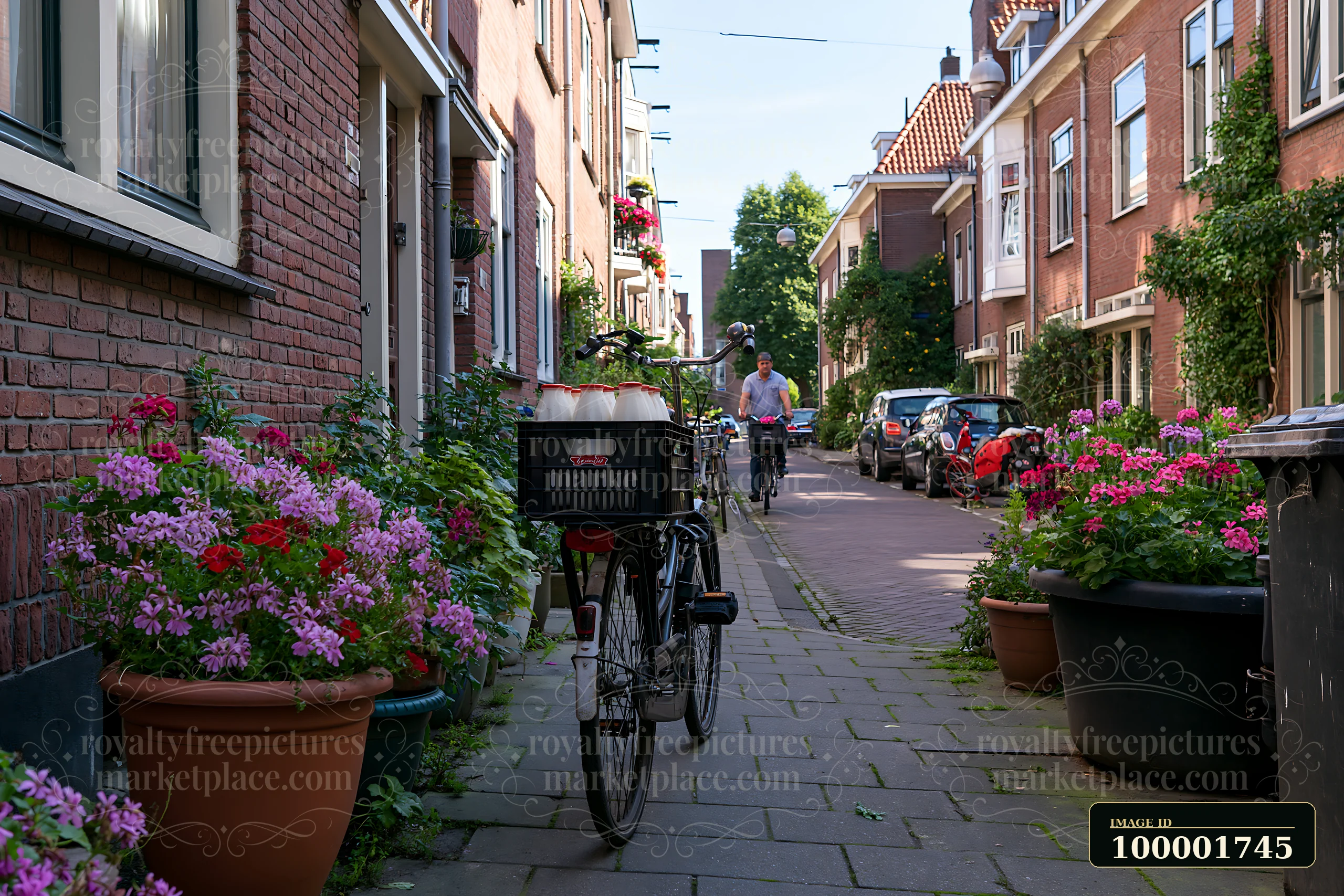 A milk delivery bicycle passing through a narrow street lined with colorful flowers and houses.