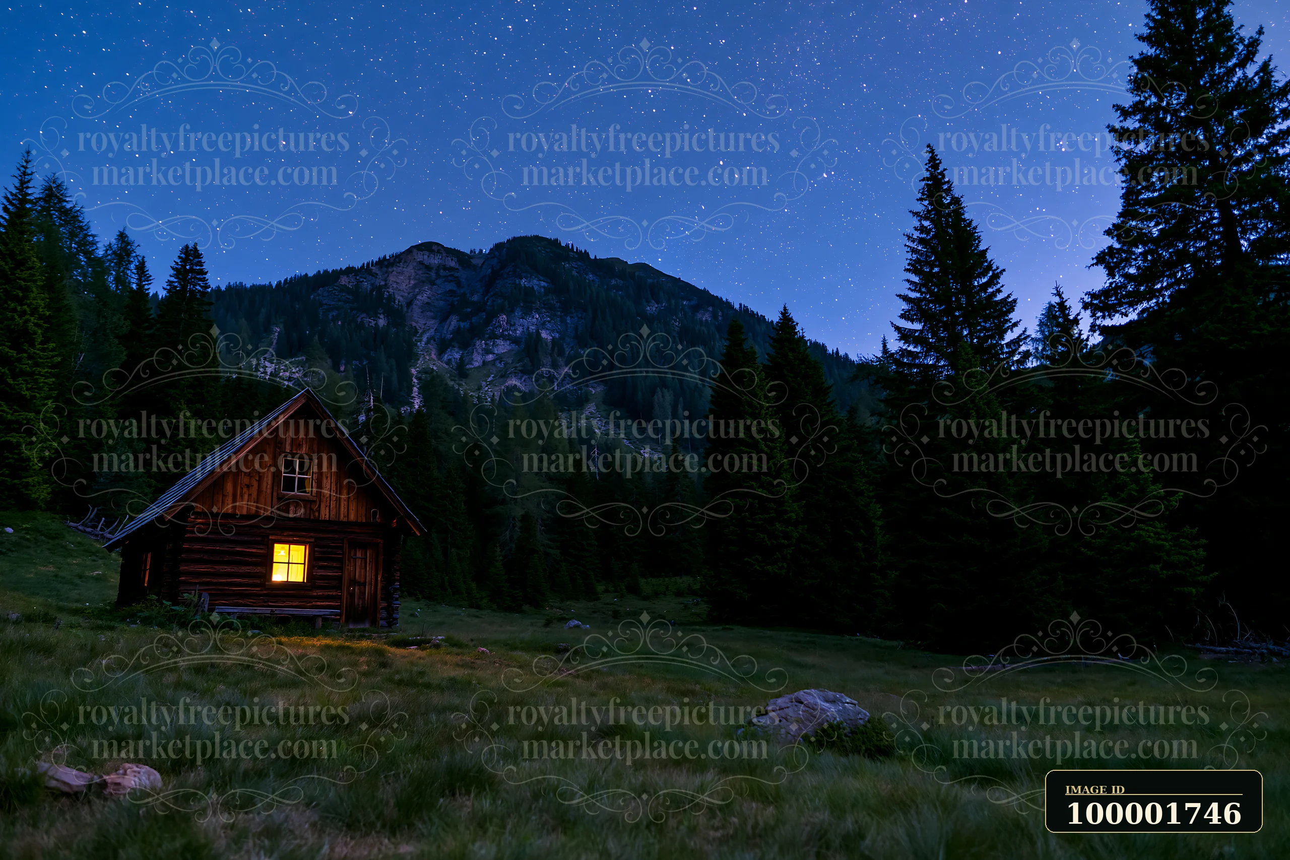 A small home sits in a dark wilderness under a starry sky.