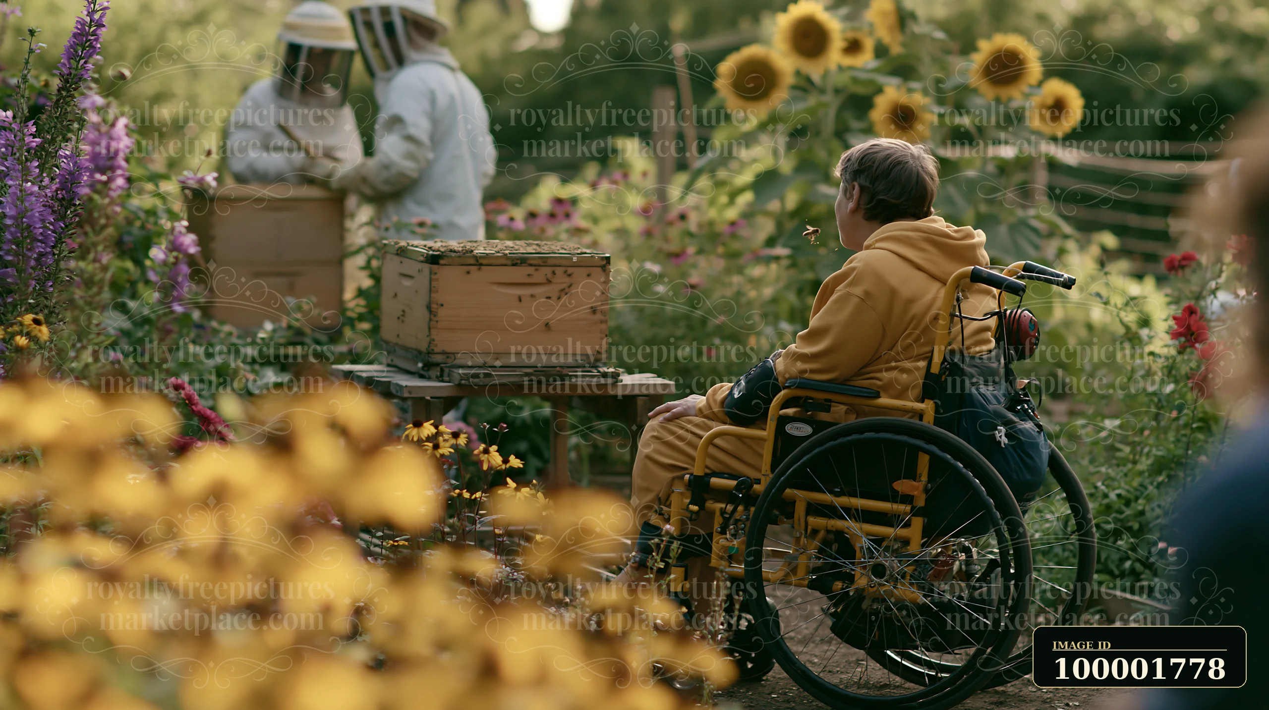 A person with muscular dystrophy using a wheelchair watches two people tending to beehives in a vibrant garden filled with sunflowers and colorful flowers on a