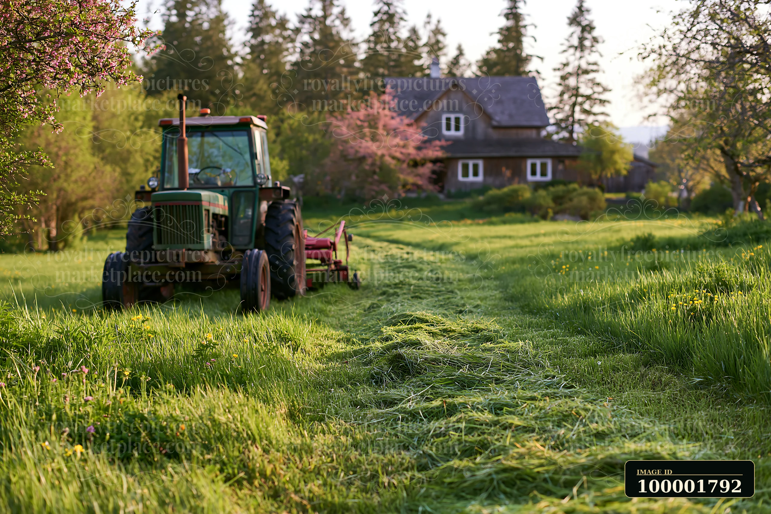 A tractor is mowing a meadow near a house surrounded by trees and flowers.