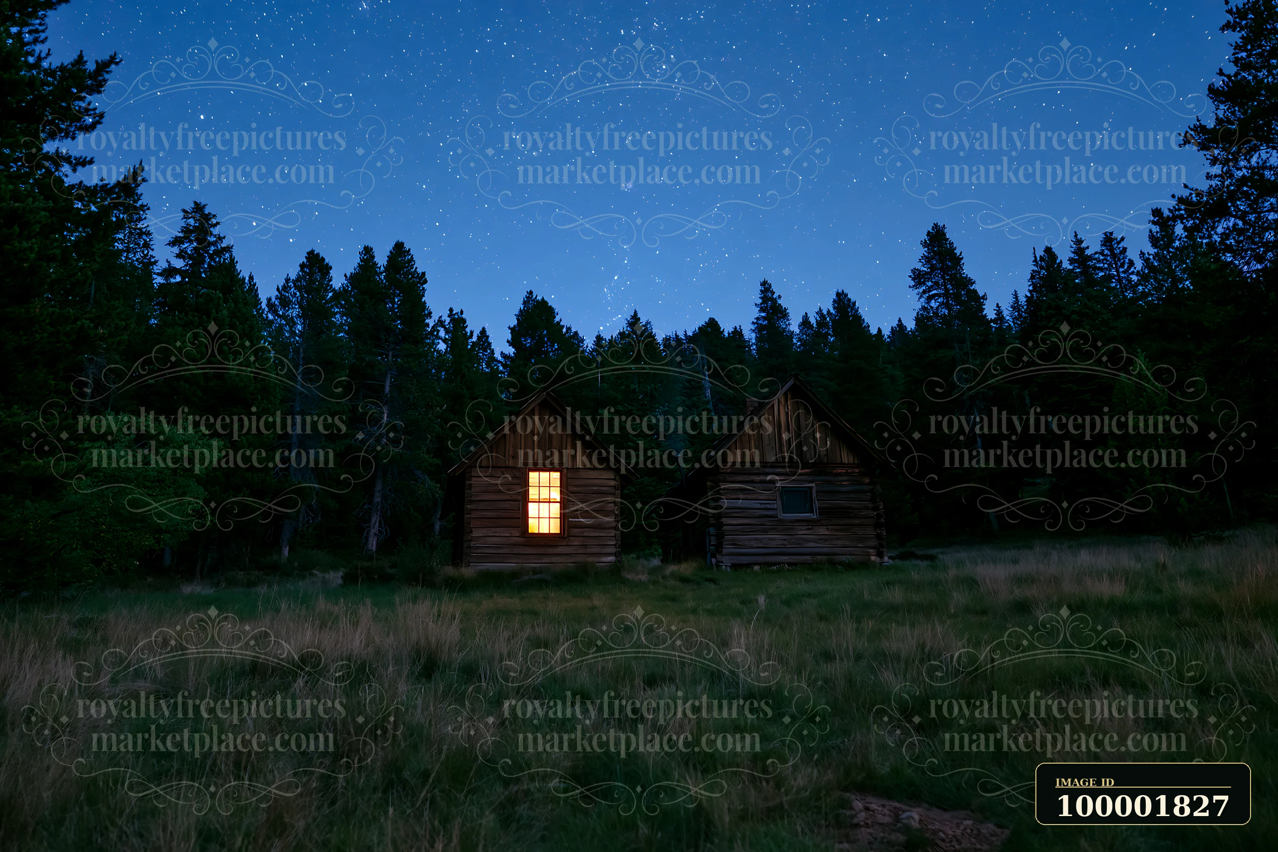 A small home beneath stars in the wilderness shows two cabins under a clear night sky.
