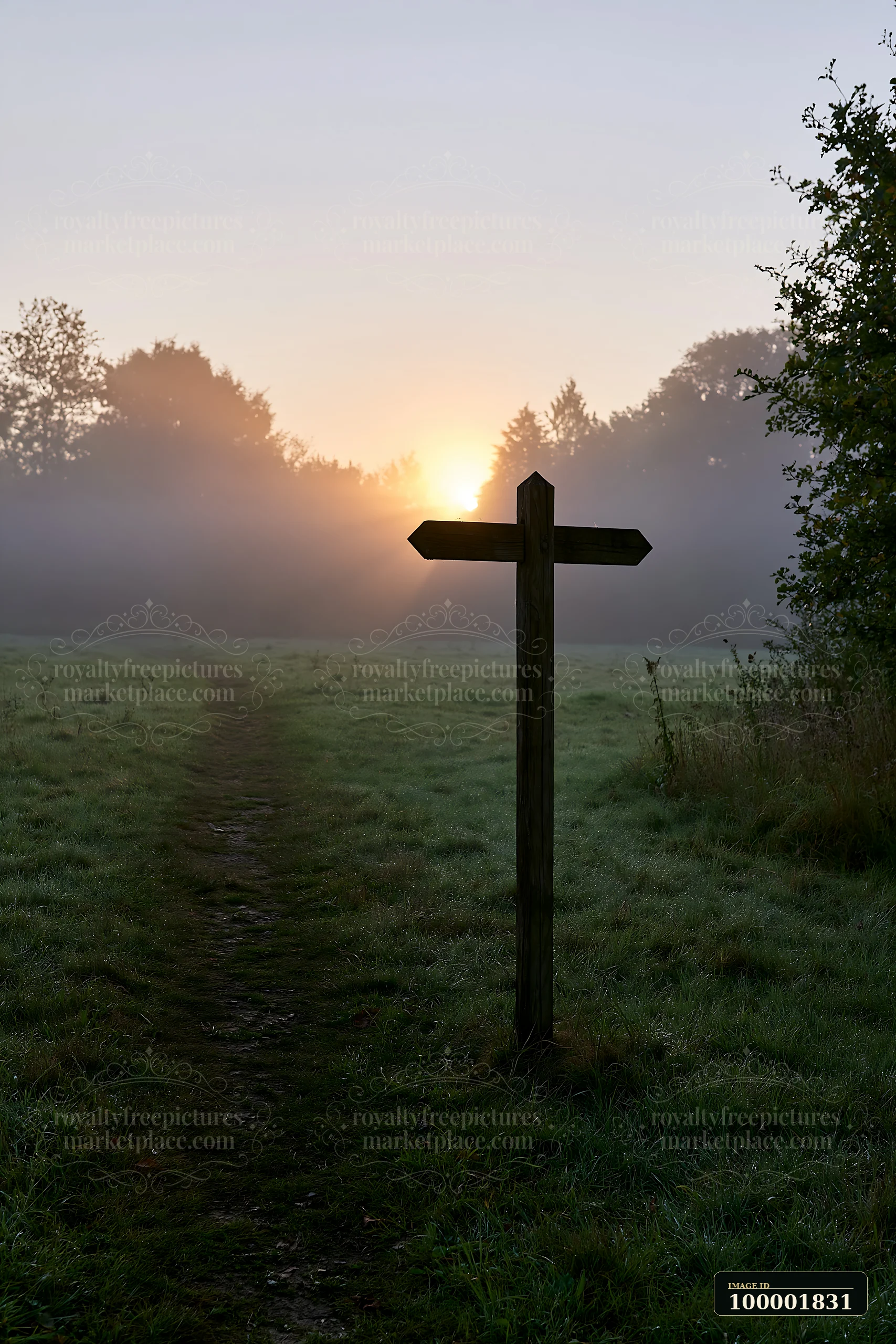 Sunbeams over a misty meadow shine through trees as a path leads towards the light.