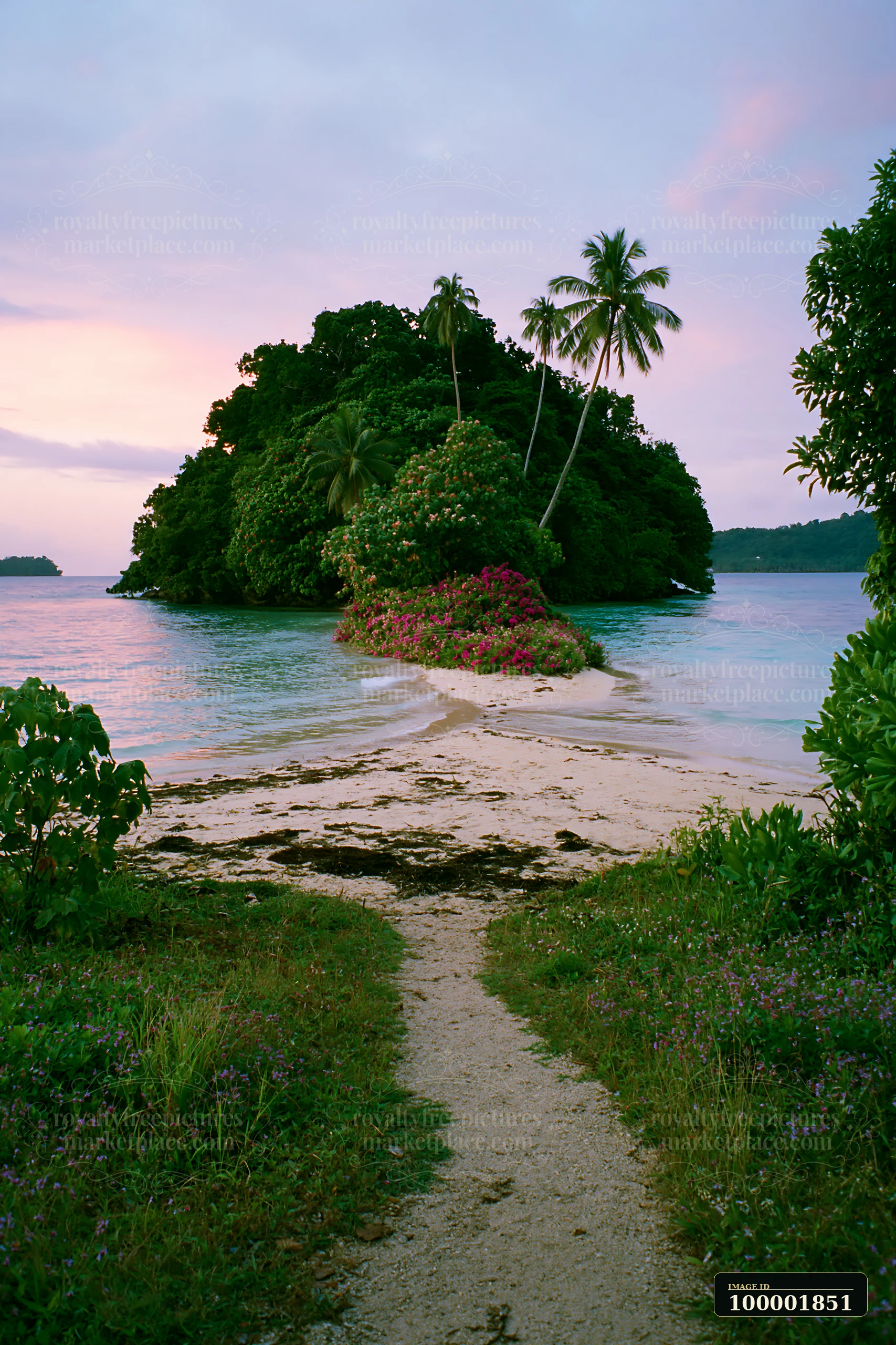 A small island with flowers sits in a tropical lagoon with calm water and palm trees.