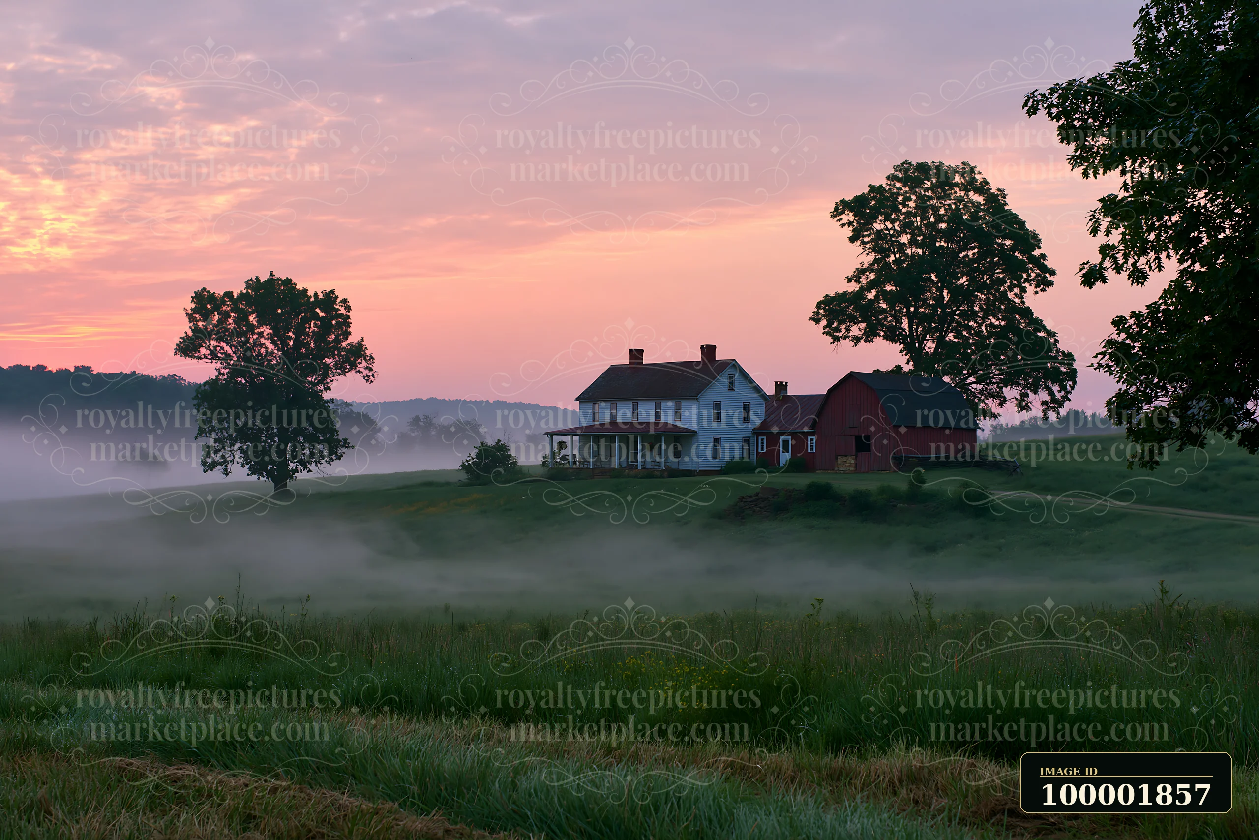 A rural farmhouse stands in a foggy landscape during the early morning.