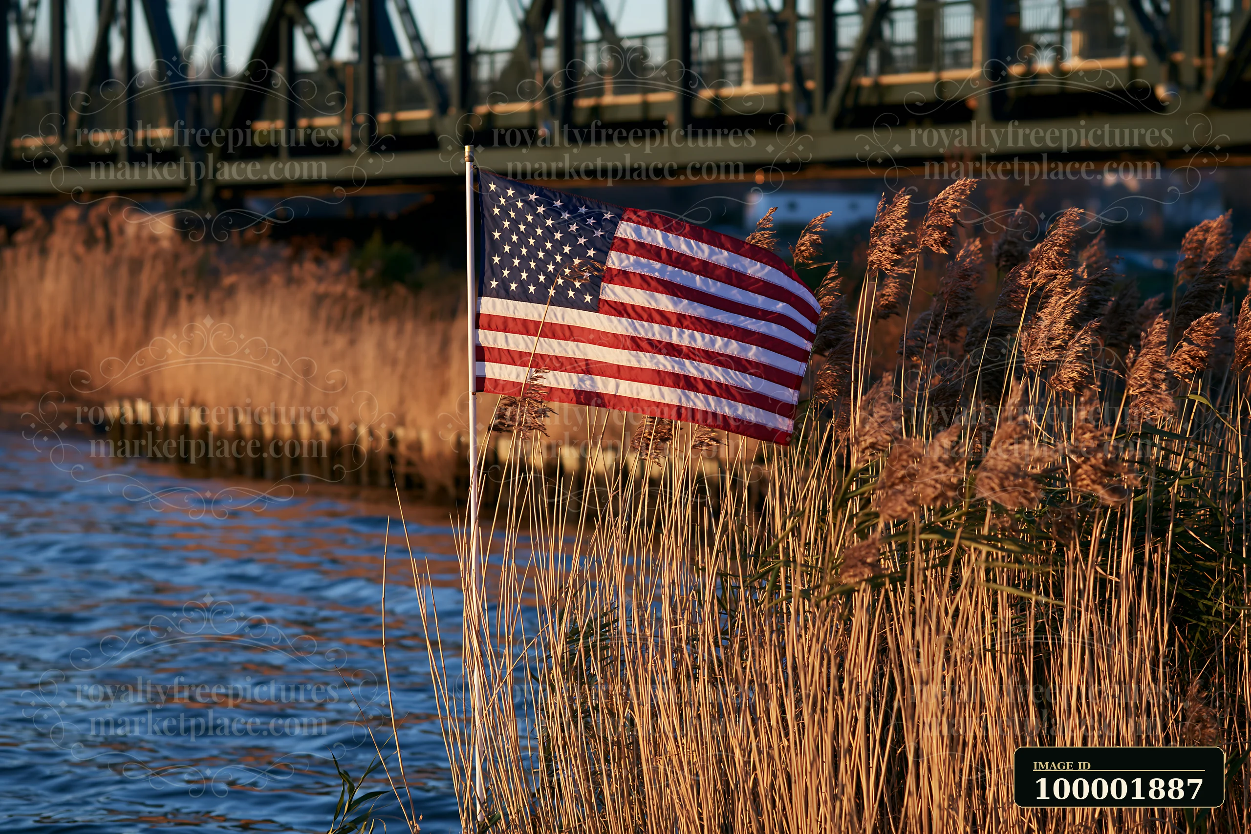 An American flag flying in strong wind stands beside a river with tall grass.