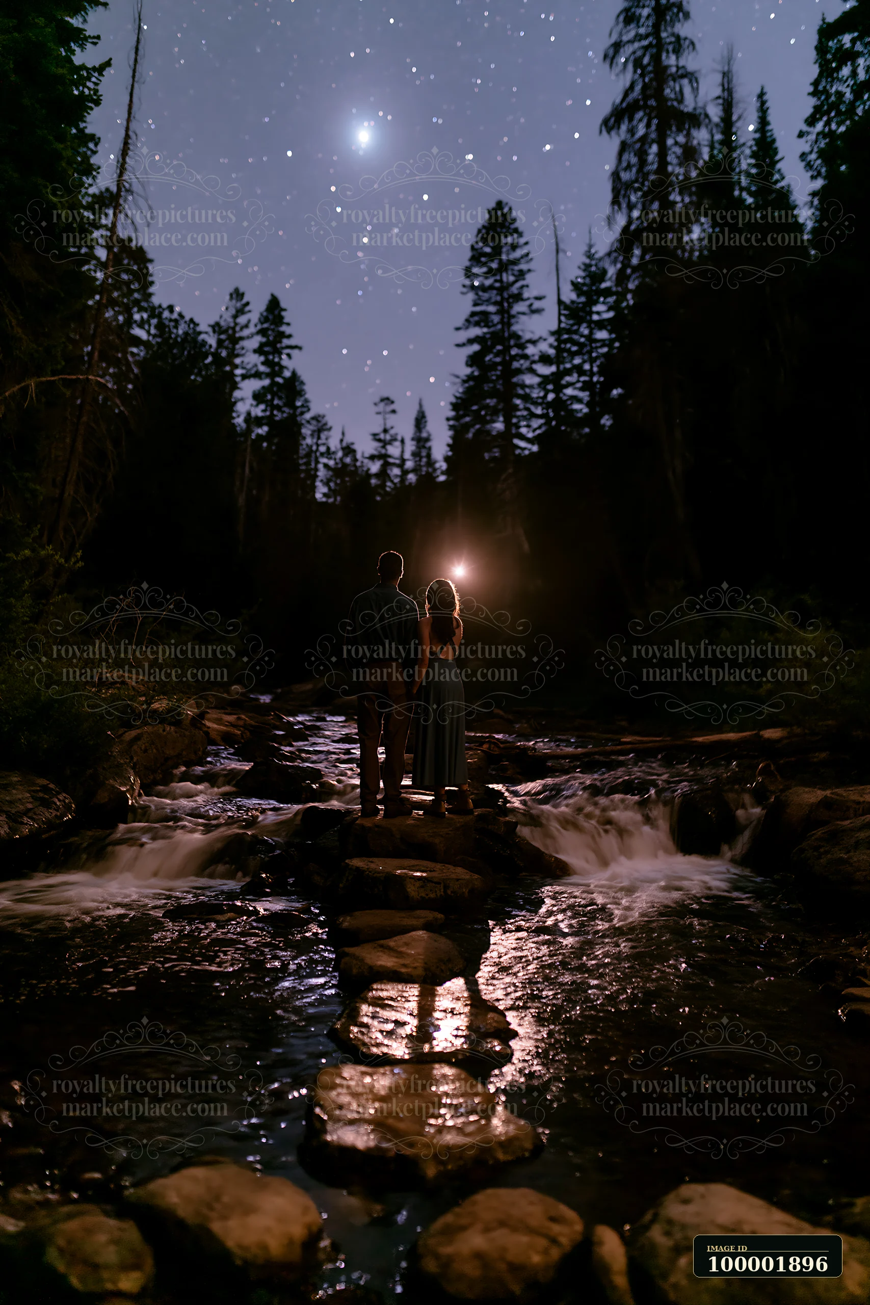 A couple stands together on rocks in a stream, surrounded by a forest at night.