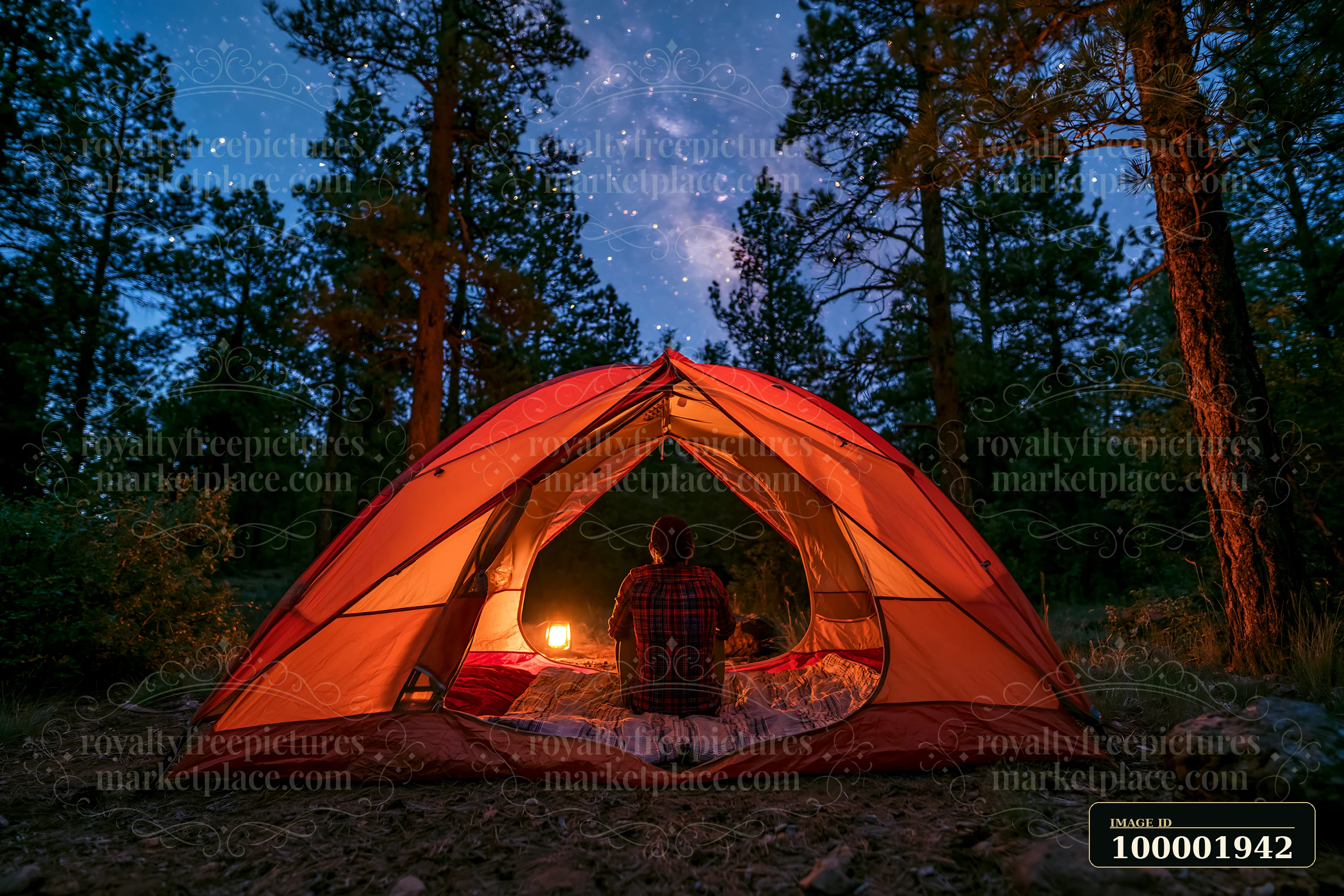 A person sits inside a tent, gazing at a starry night sky filled with stars and the Milky Way.