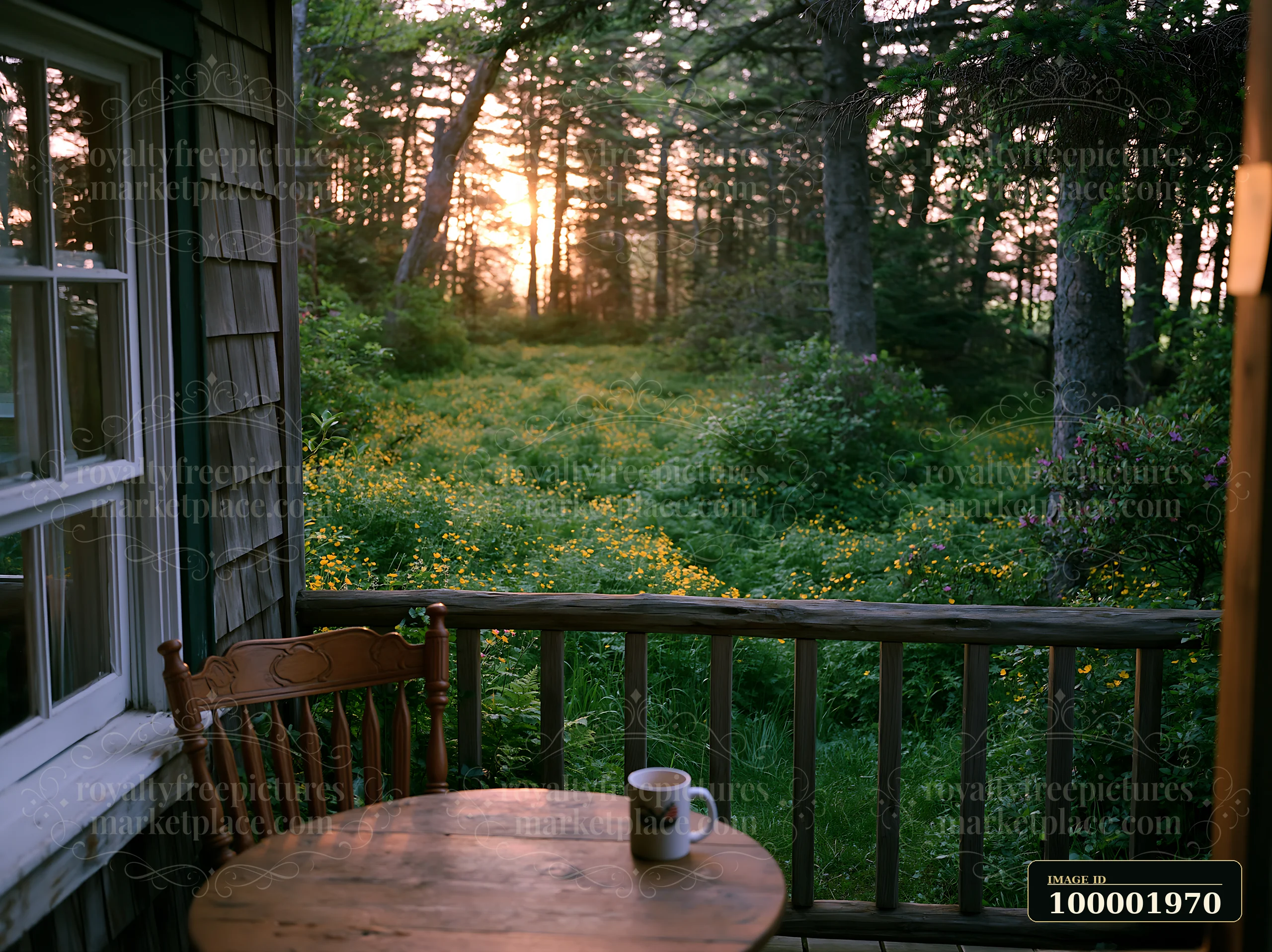 A wooden porch offers a view of an island covered with buttercups as the sun sets behind trees.